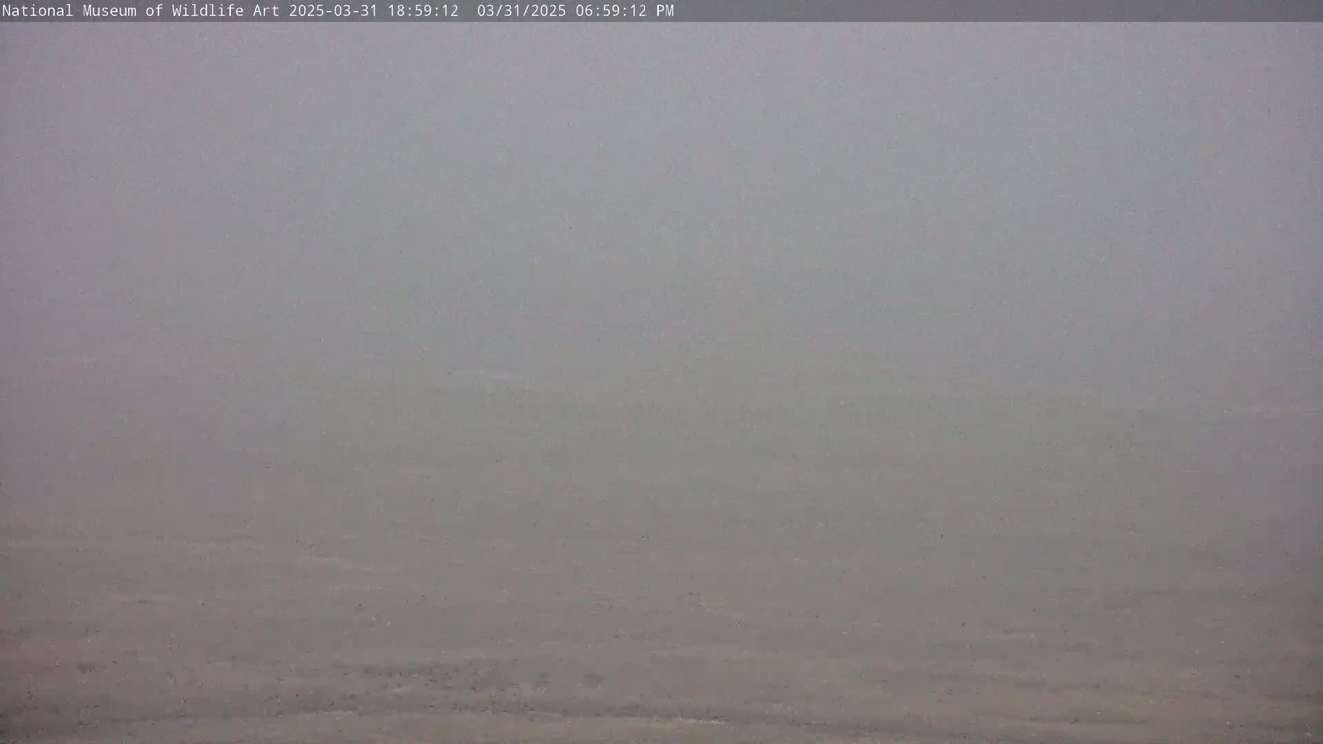 A hazy, gray landscape is visible under a foggy sky.
