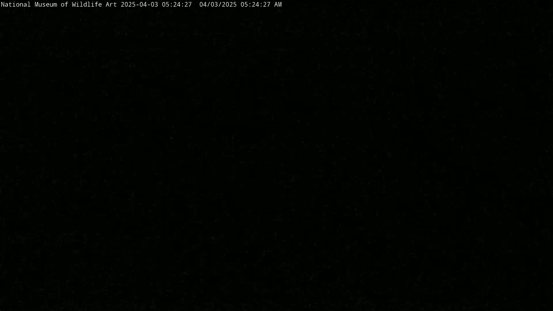 The image is completely black.