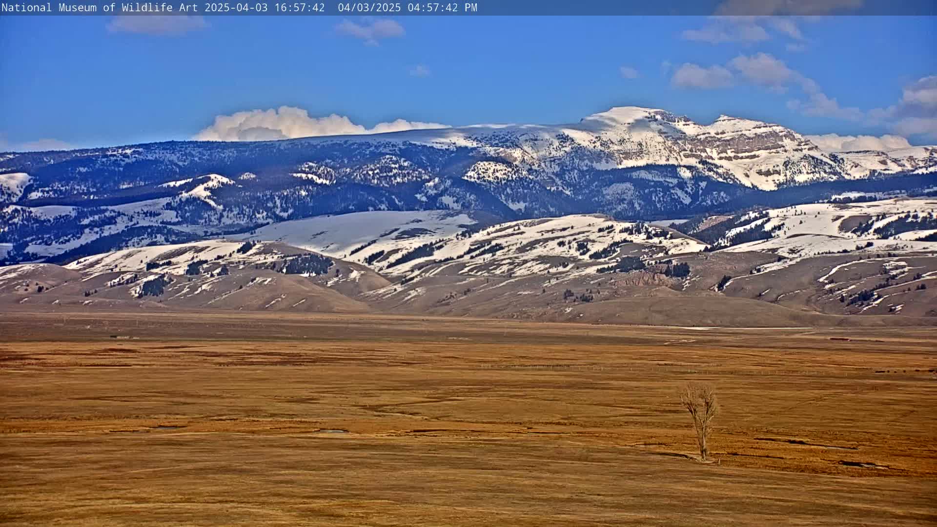 A snow-capped mountain range rises in the background of a vast, flat, tan landscape under a mostly clear, blue sky.