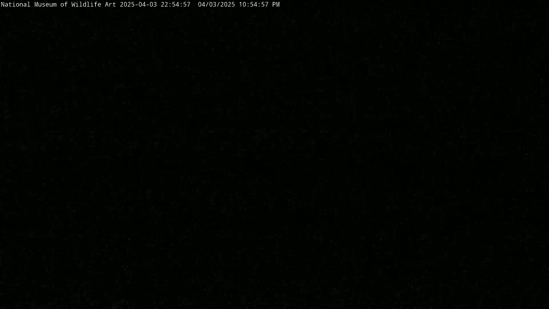 The image is a completely black screen.
