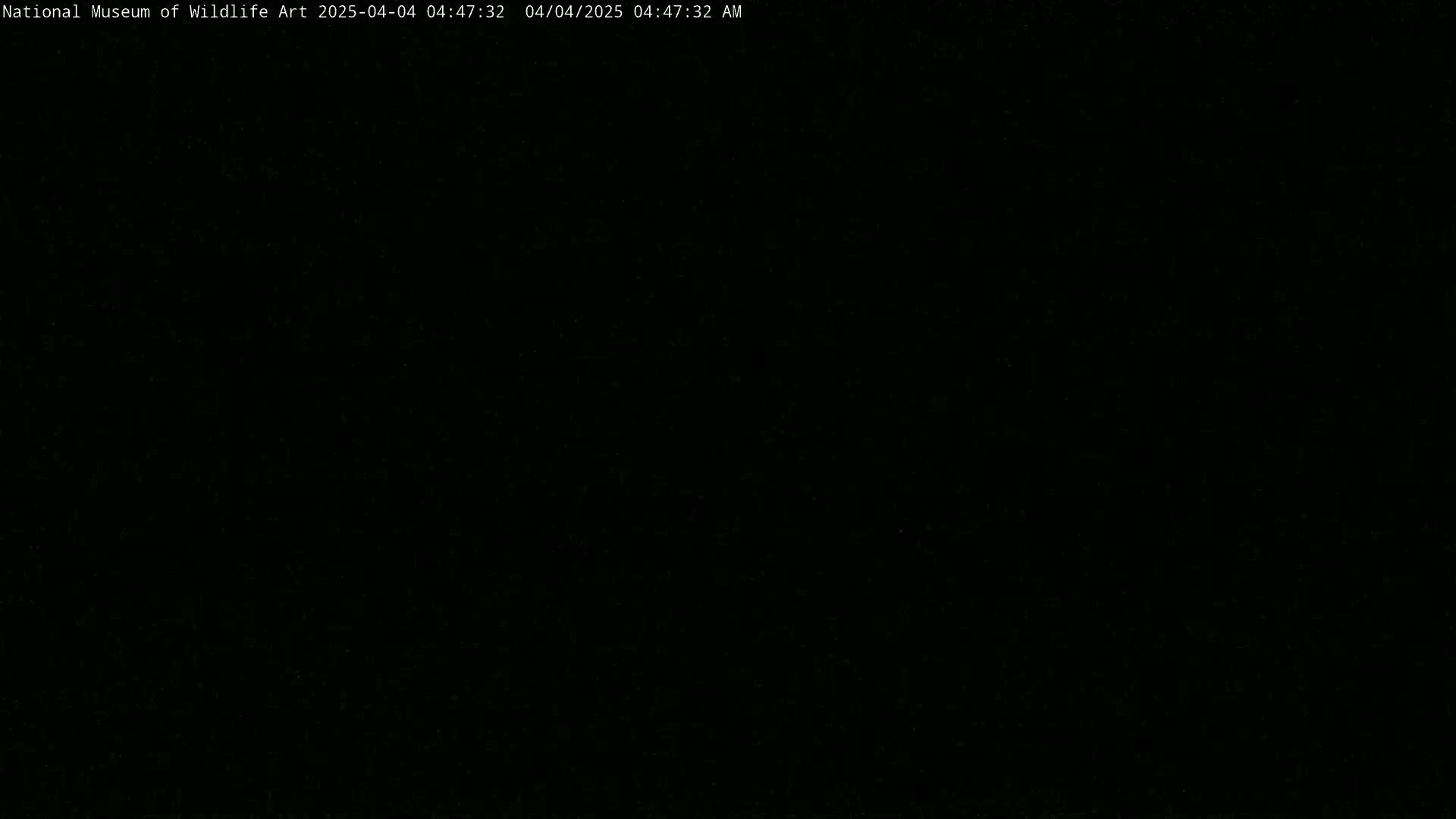 The image is completely black.