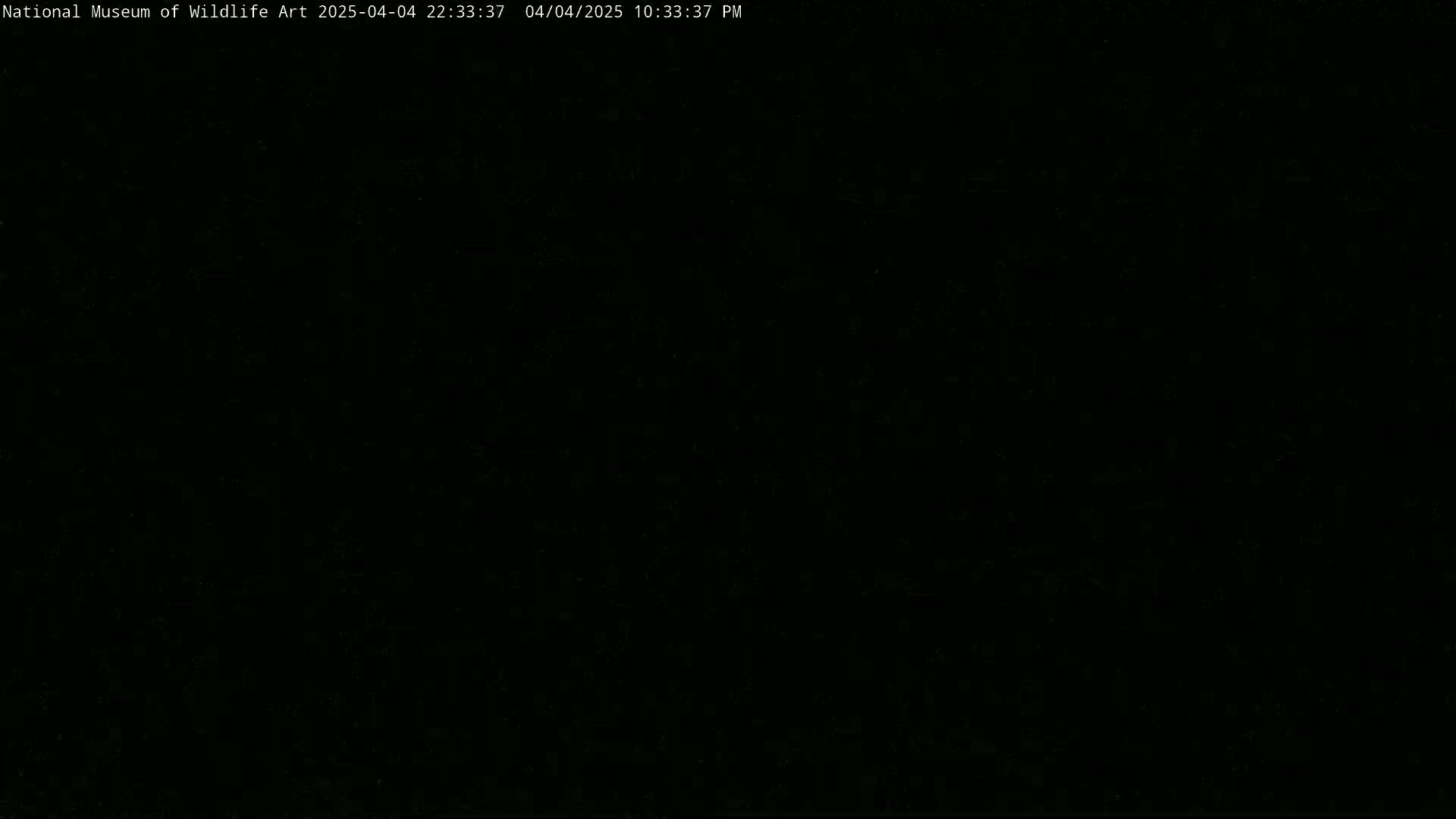 The image is completely black.