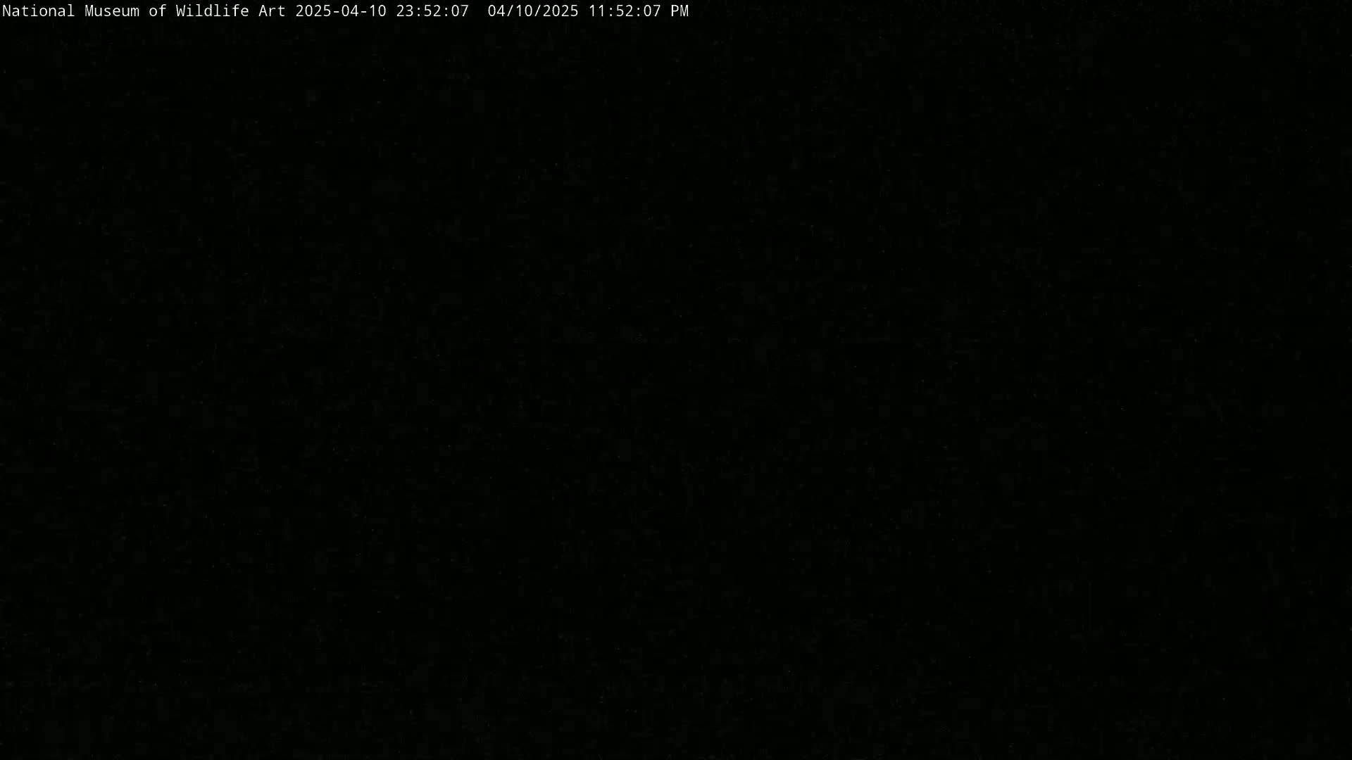 The image is entirely black.