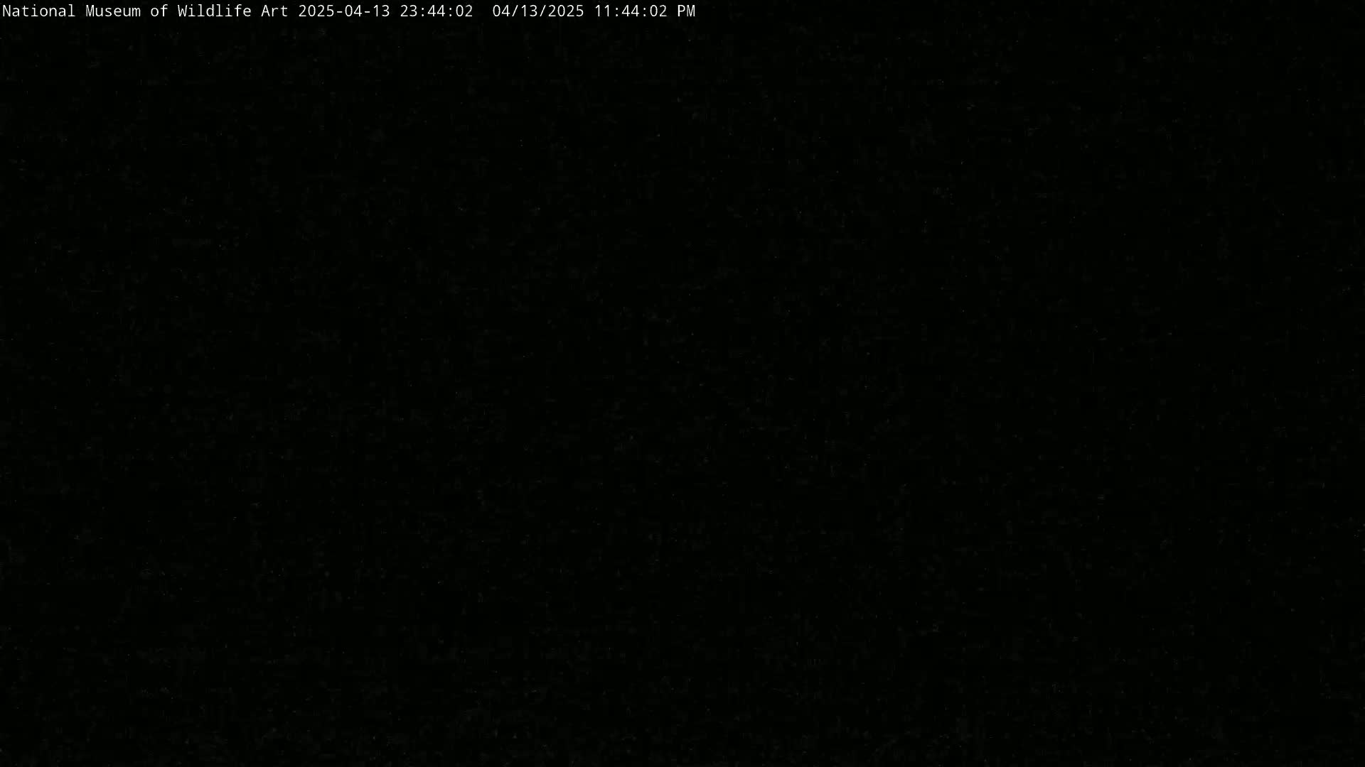 The image is completely black.