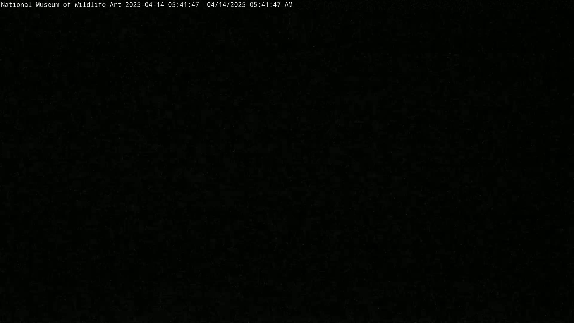 The image is completely black.