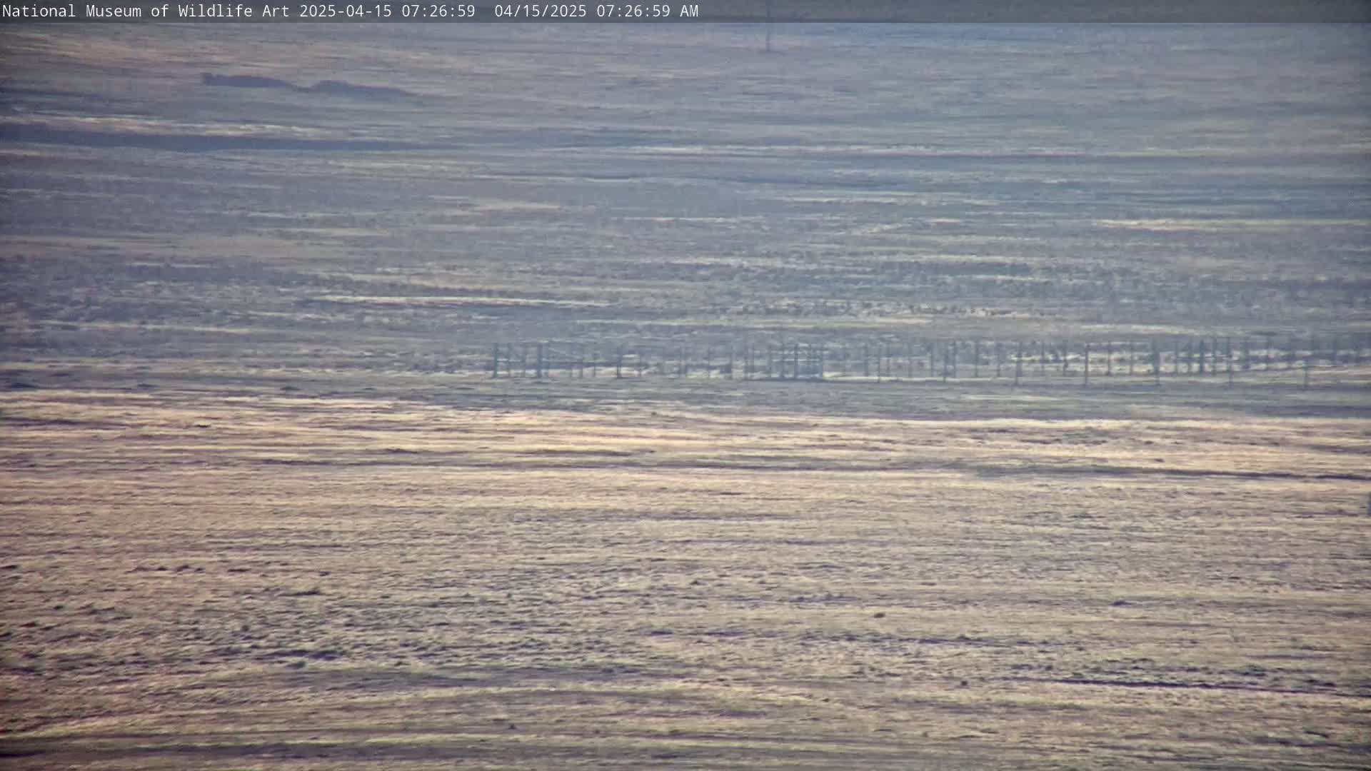 A long shot of a flat, snow-covered landscape under a hazy sky shows a line of dark posts in the middle ground.