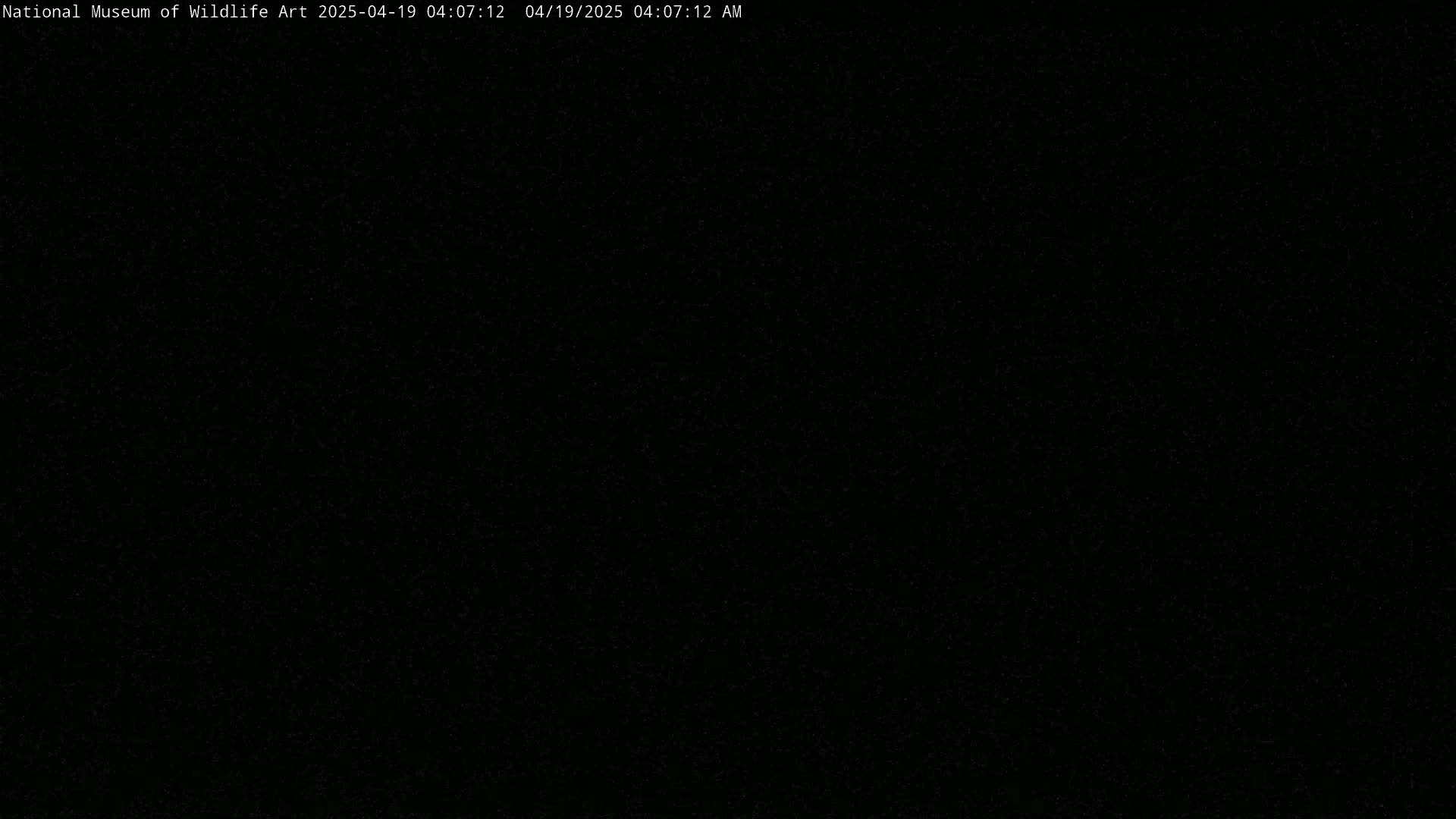 The image is completely black.