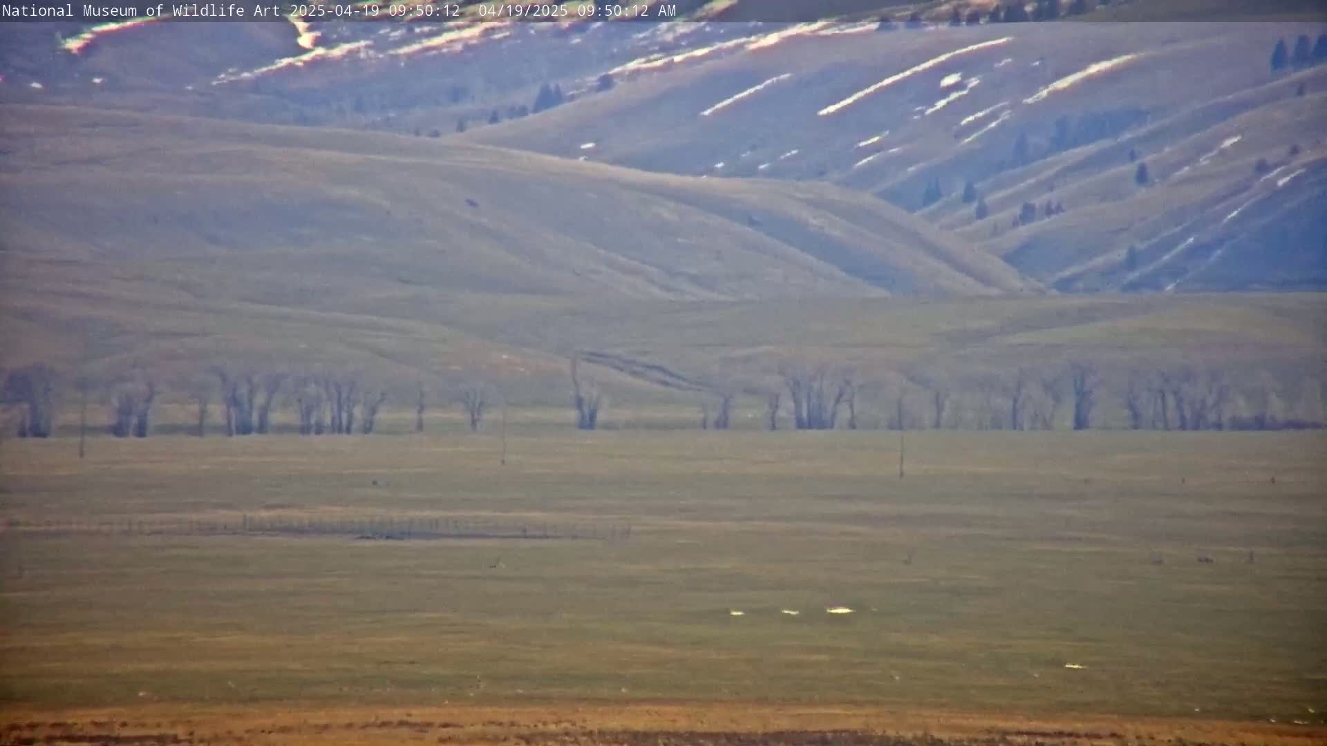A flat, grassy plain stretches out to rolling hills in the background, which are partially covered with snow under a hazy sky.