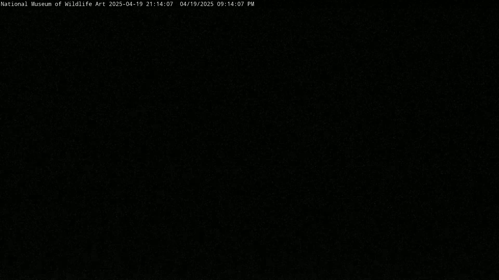 The image is completely black.