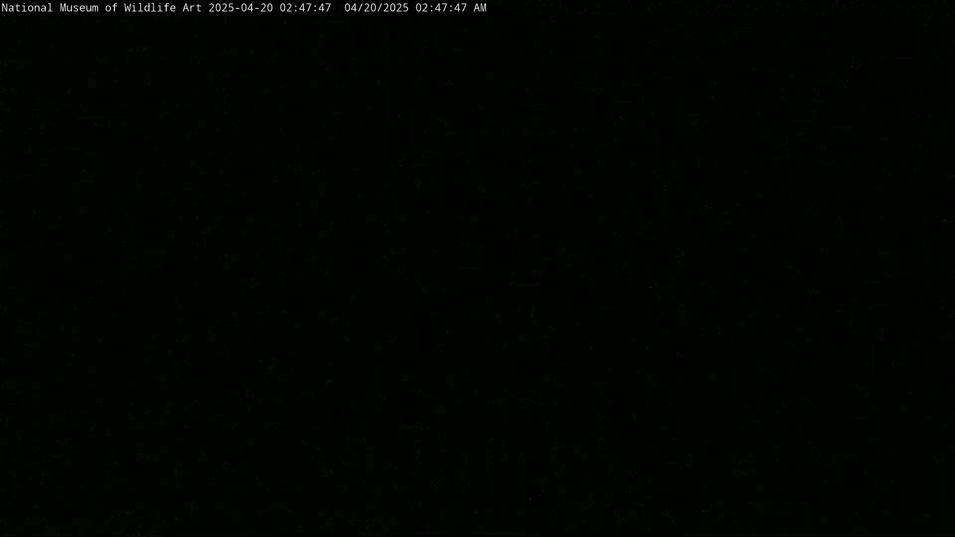 The image is completely black.