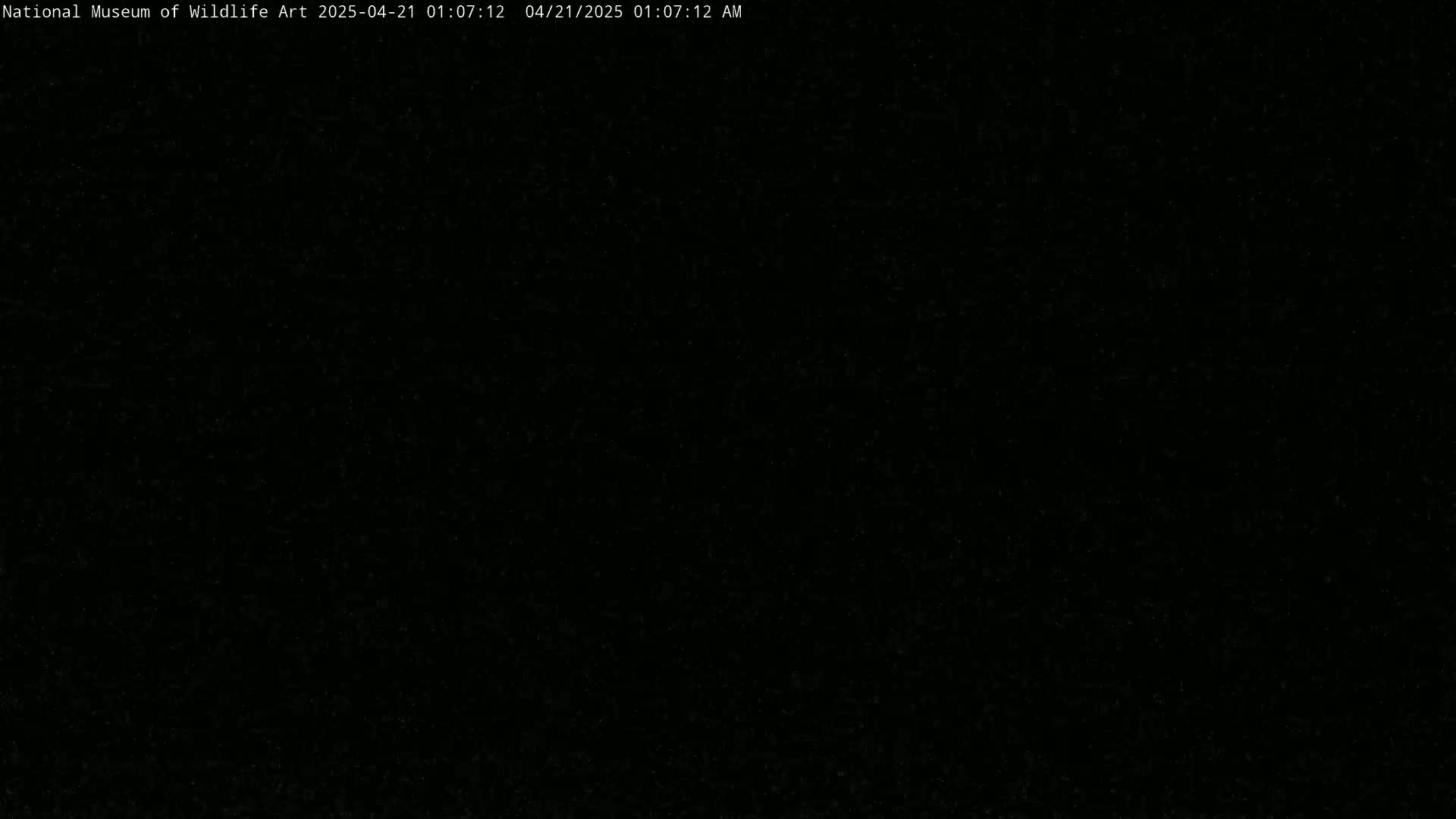 The image is a completely black screen with a grainy texture.