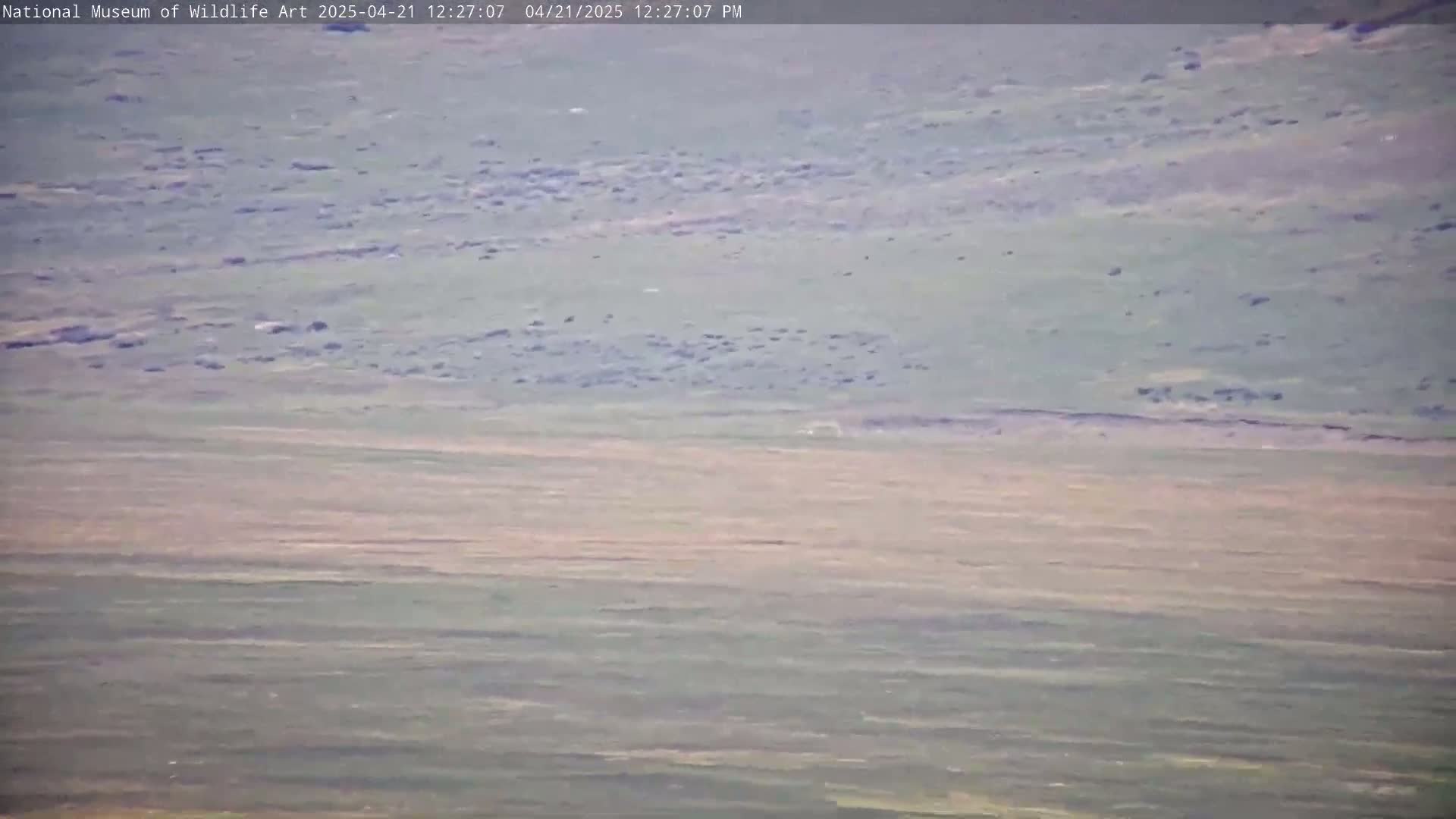 A long shot of a flat, sparsely vegetated landscape under a seemingly clear sky.