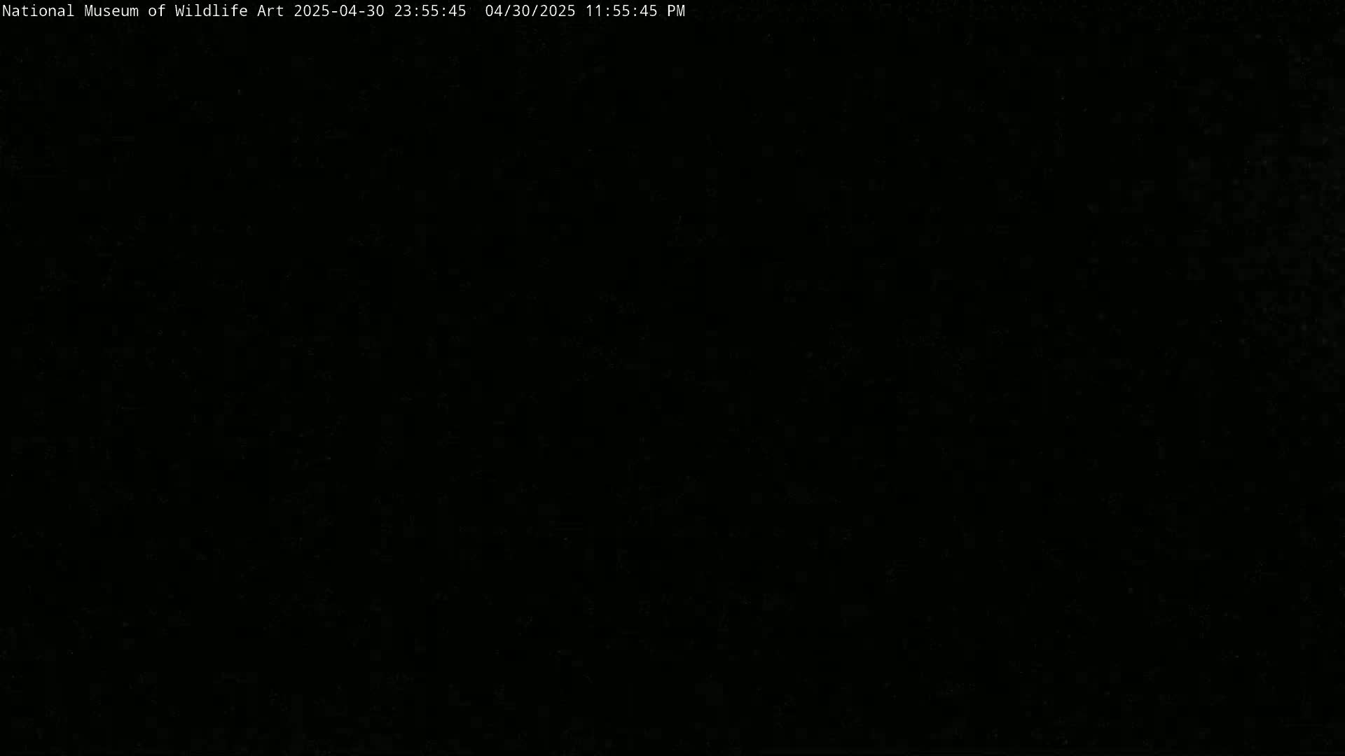 The image is completely black.