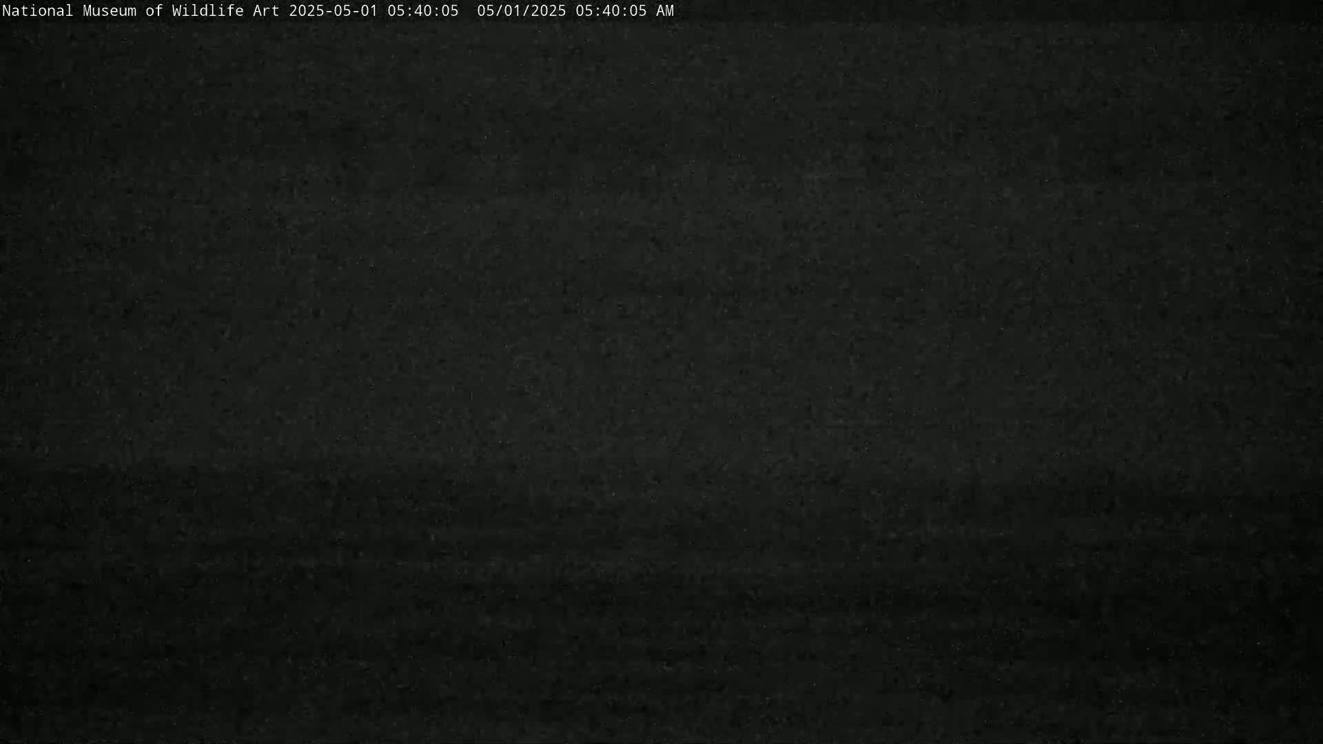 A dark, grainy image shows a mostly black, possibly nighttime scene.