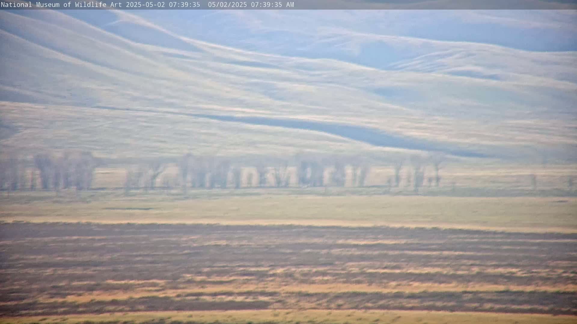 A hazy, pale landscape shows rolling hills and a line of bare trees in the middle distance.