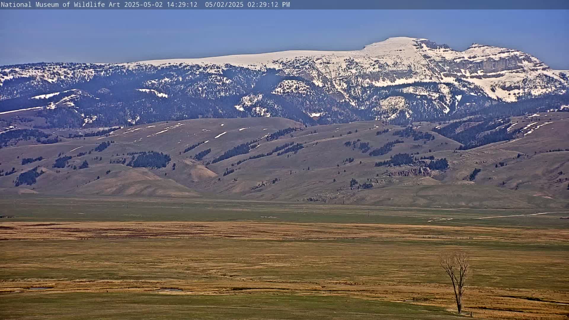 A snow-capped mountain range rises in the background behind a wide, flat valley under a clear sky.
