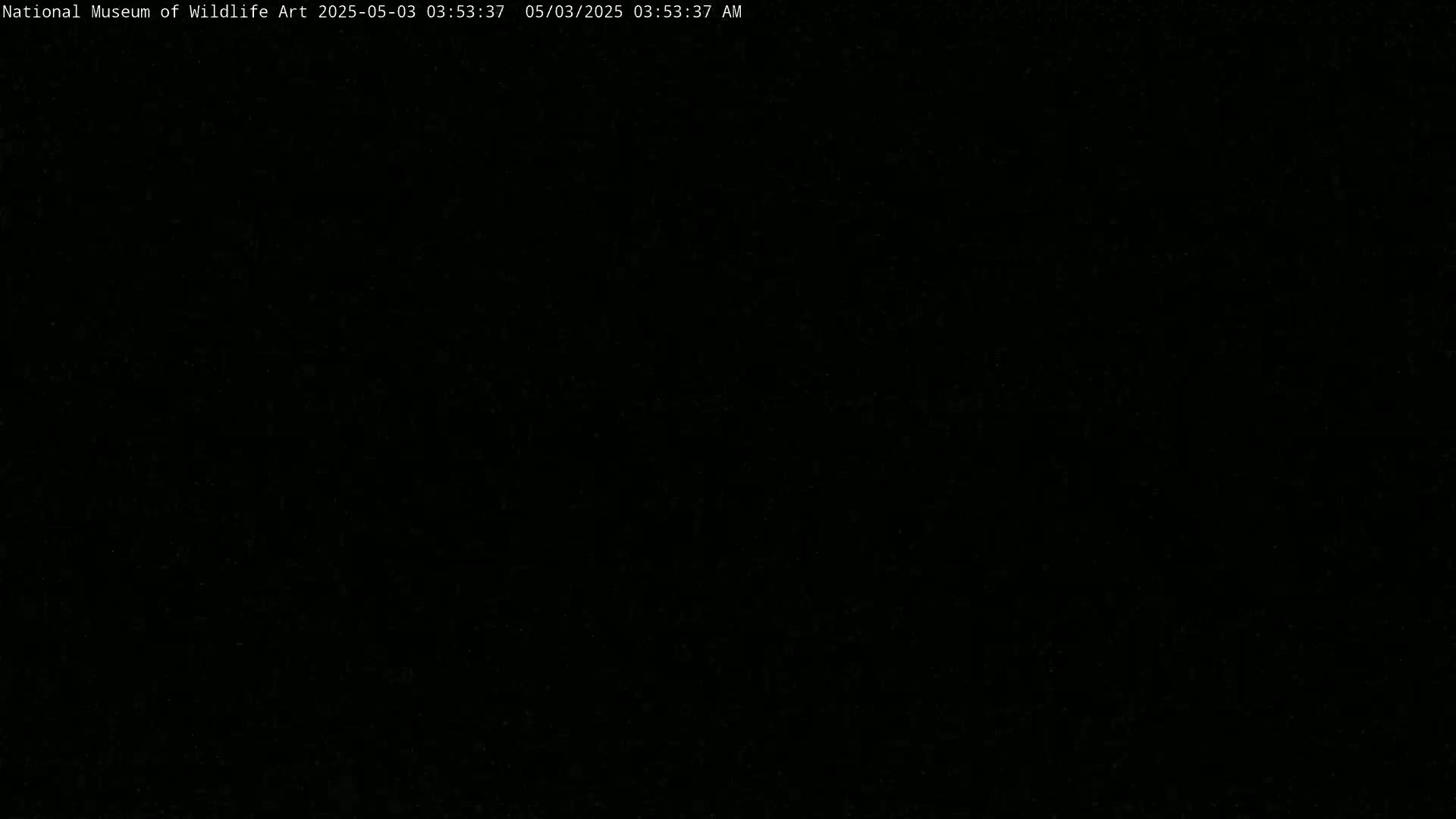 The image is completely black.