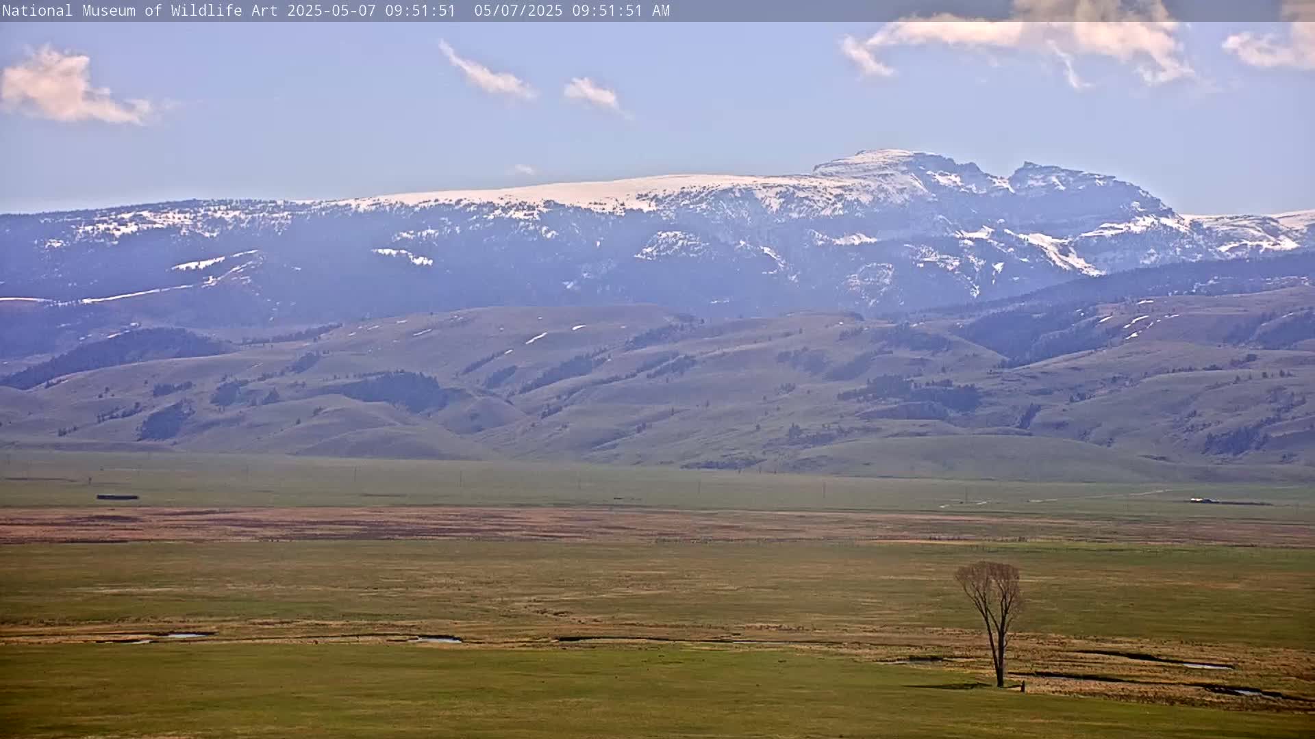 A lone tree stands in a vast, flat green field, with rolling hills and snow-capped mountains in the background under a partly cloudy sky.