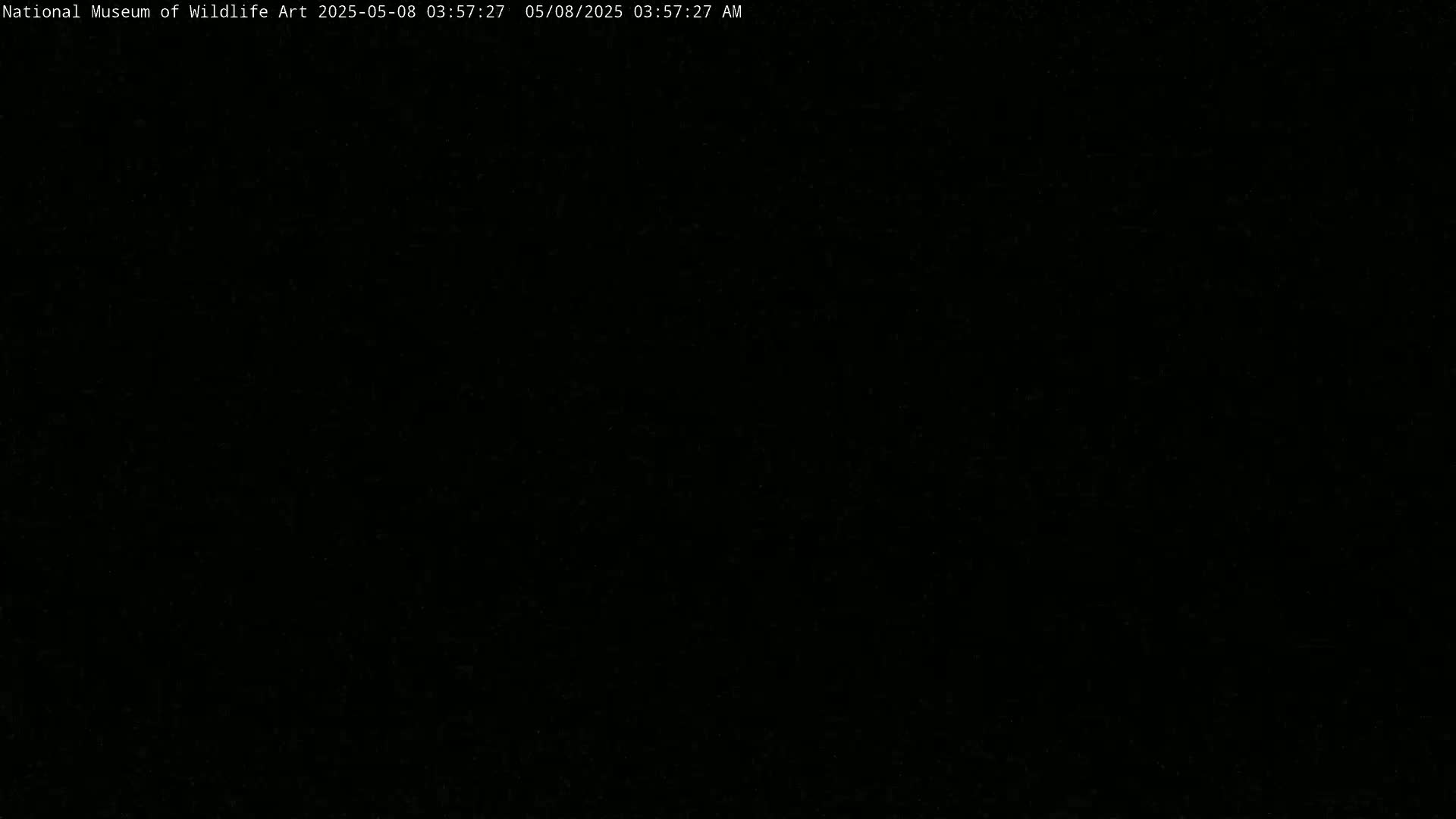 The image is completely black.