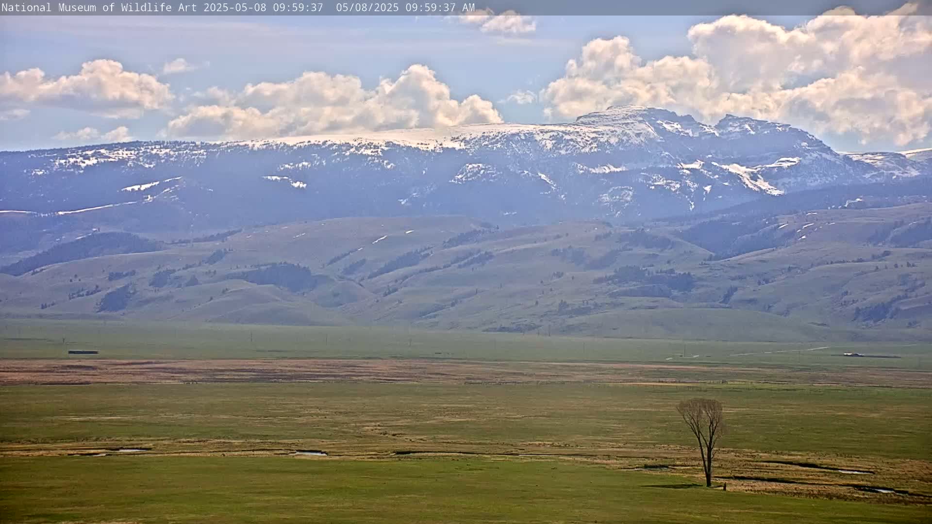 A partly cloudy day reveals a snow-capped mountain range in the distance, overlooking a vast, flat green plain with a single, leafless tree.