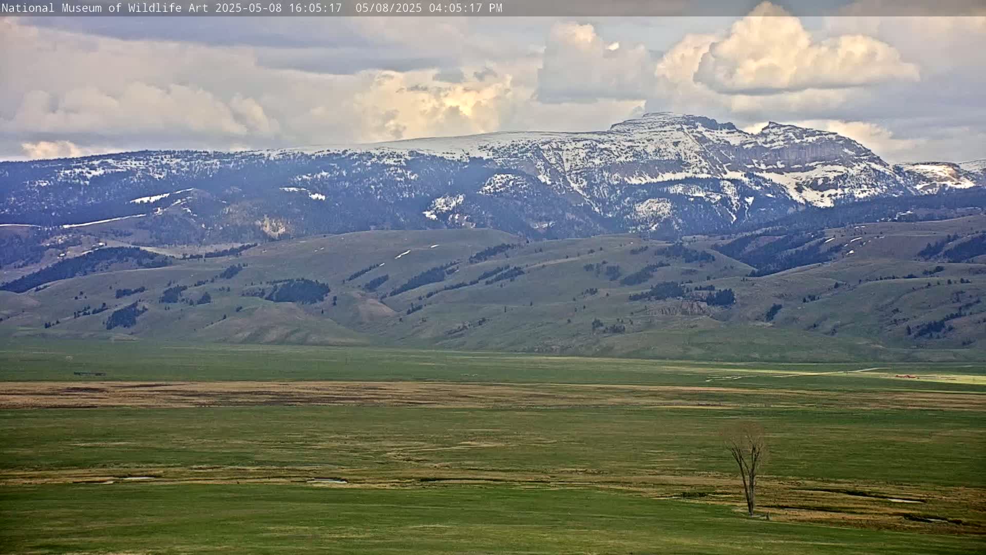 A partially snow-capped mountain range is visible in the distance behind a vast, green plain under a partly cloudy sky.