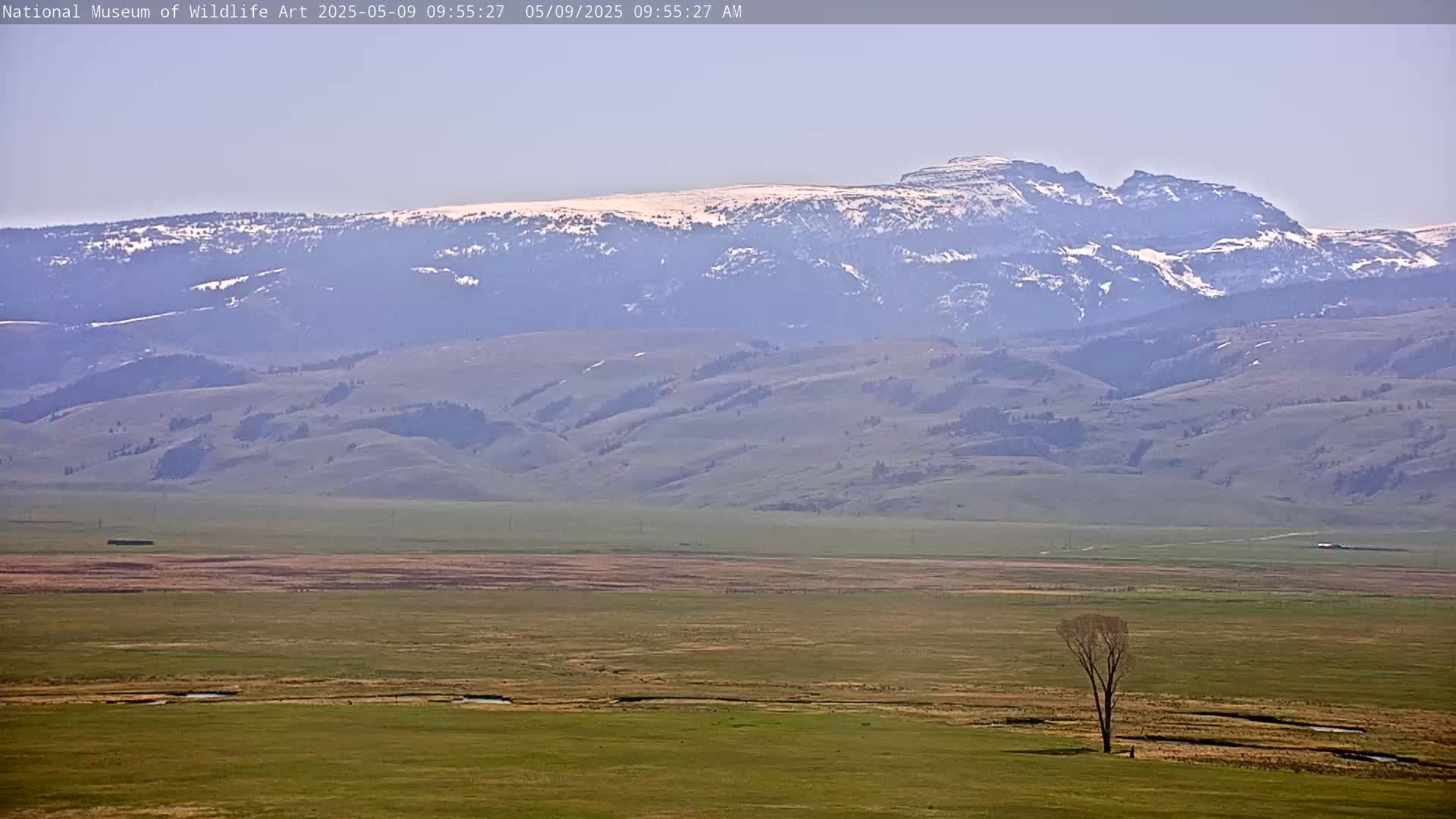 A vast, flat, green plain stretches to a range of hazy, snow-dusted mountains under a clear sky.