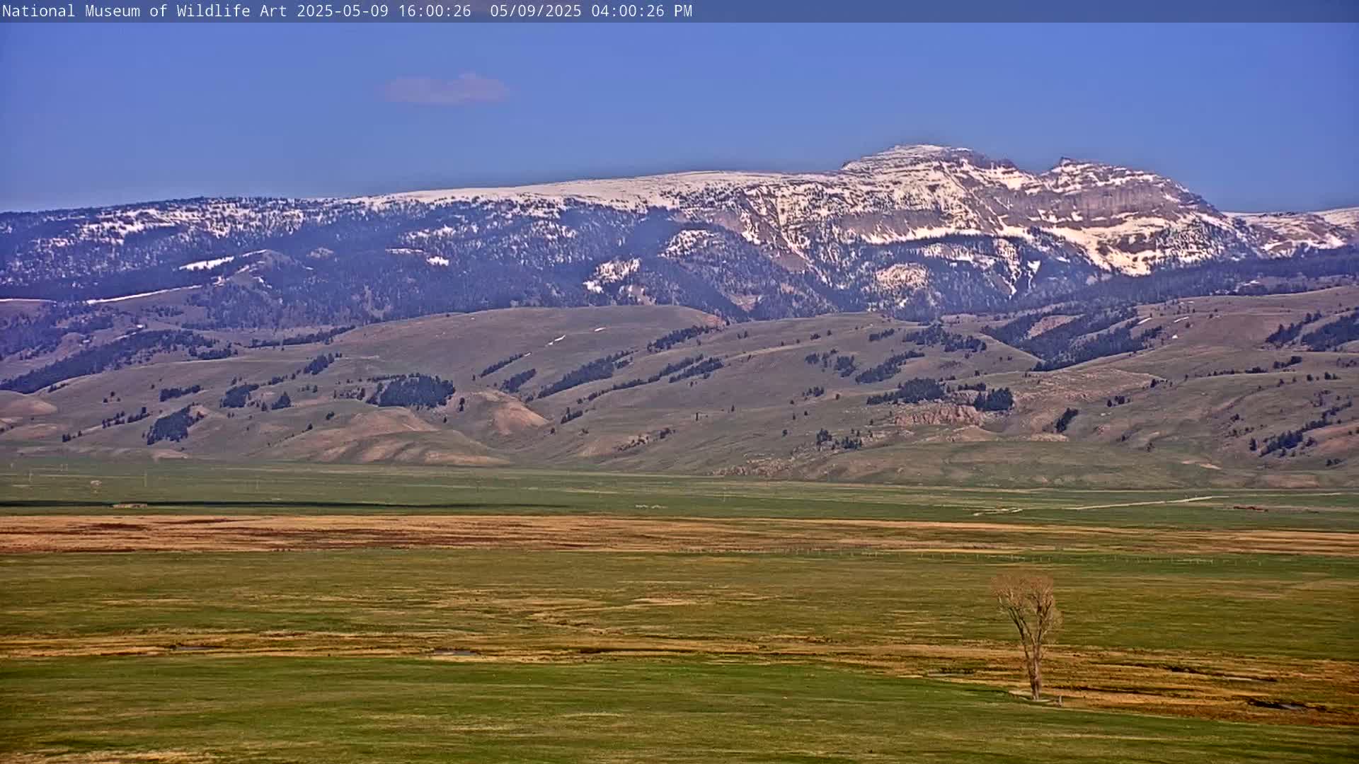 A snow-capped mountain range rises in the background of a vast, flat, green plain under a clear blue sky.