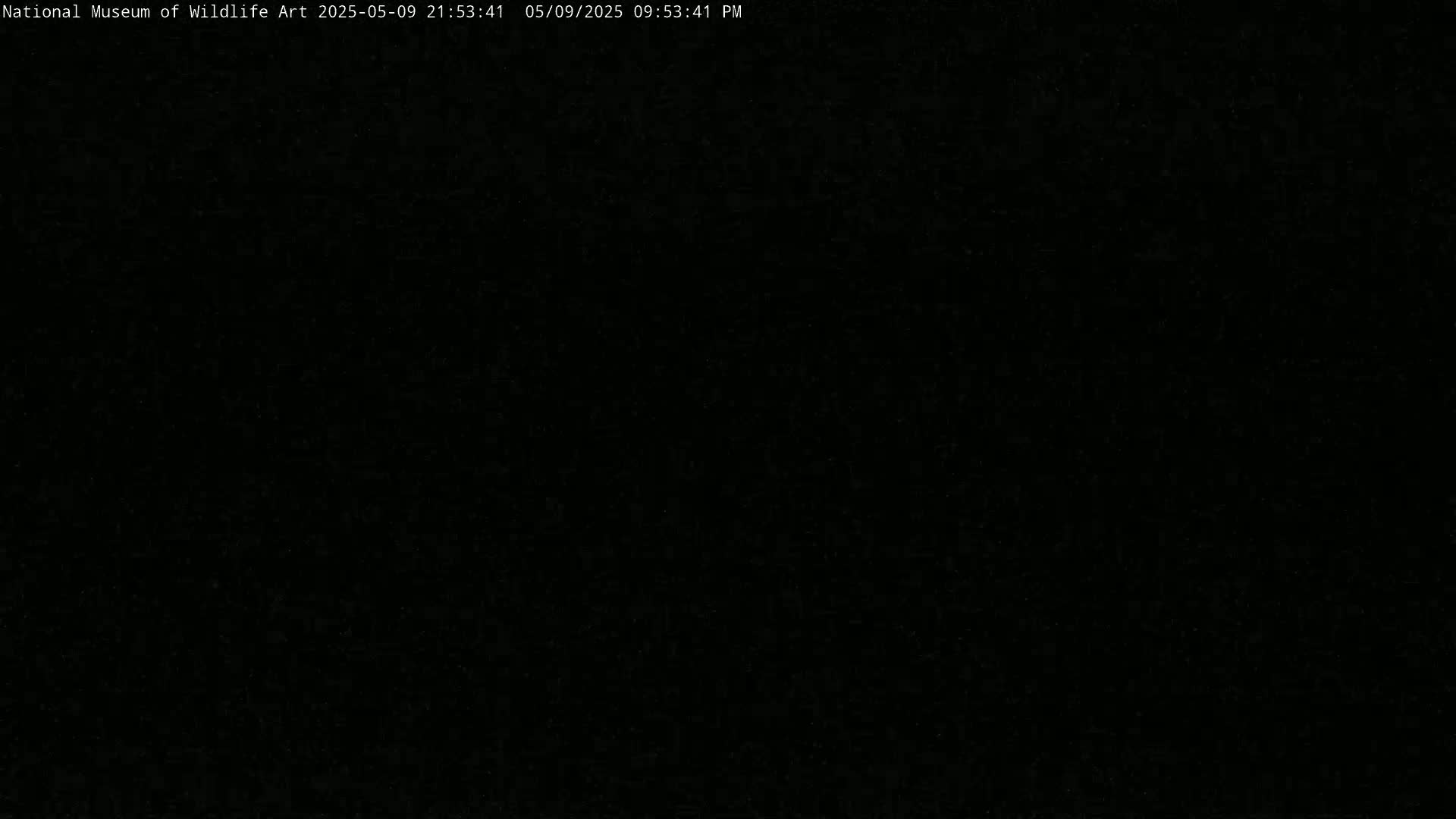 The image is completely black.