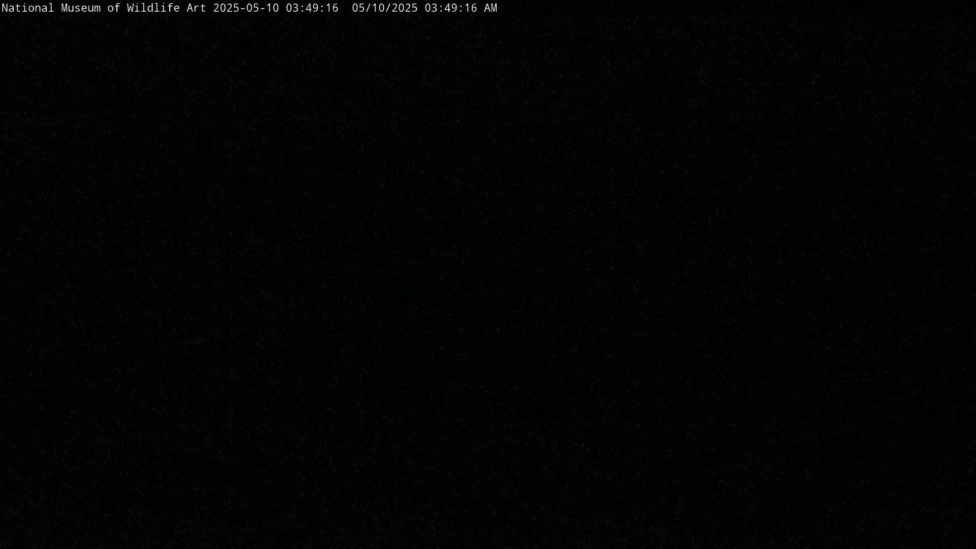 The image is entirely black.