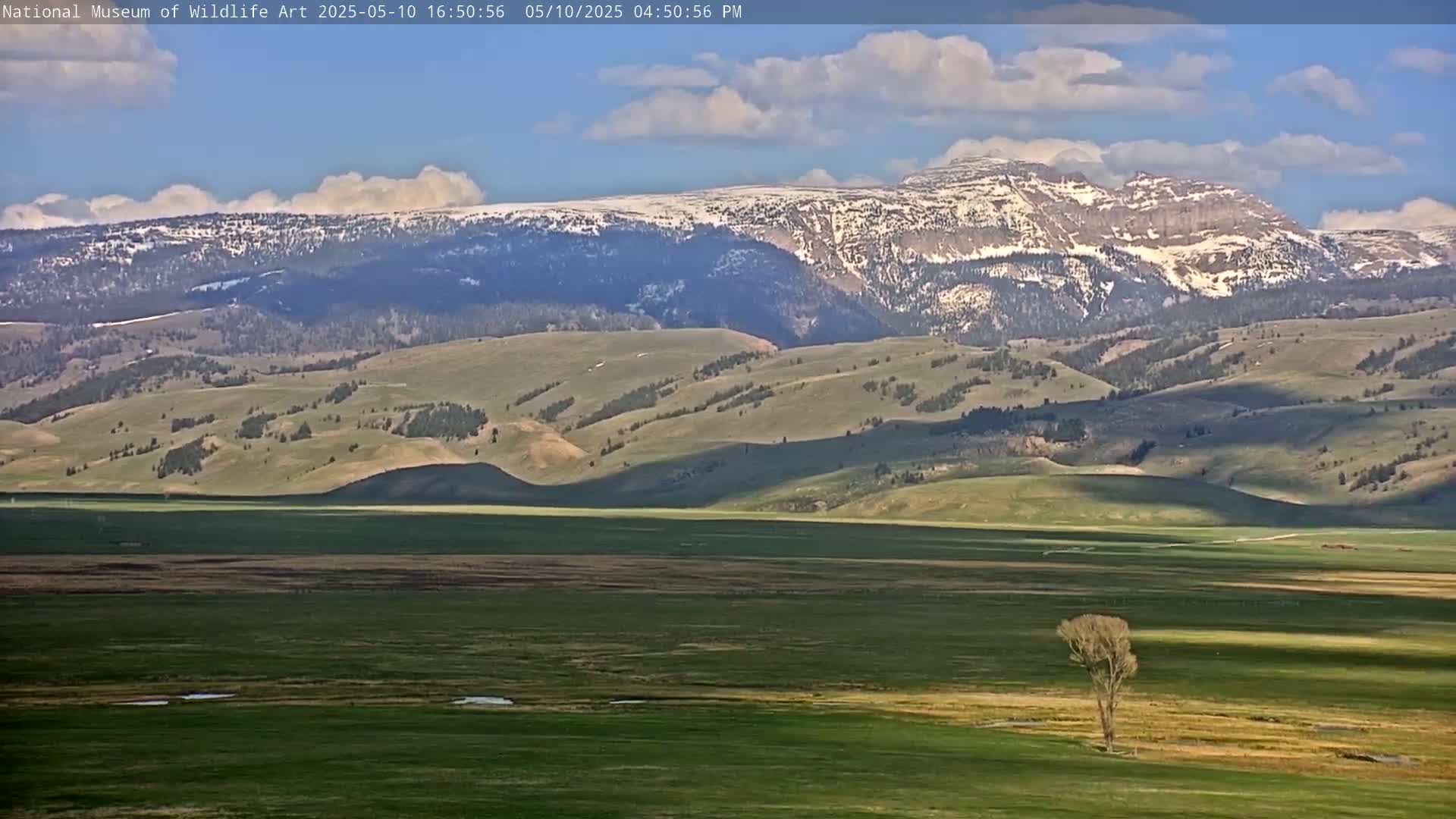 A partly cloudy day reveals a snow-capped mountain range overlooking a vast, green valley with a single, small tree in the foreground.