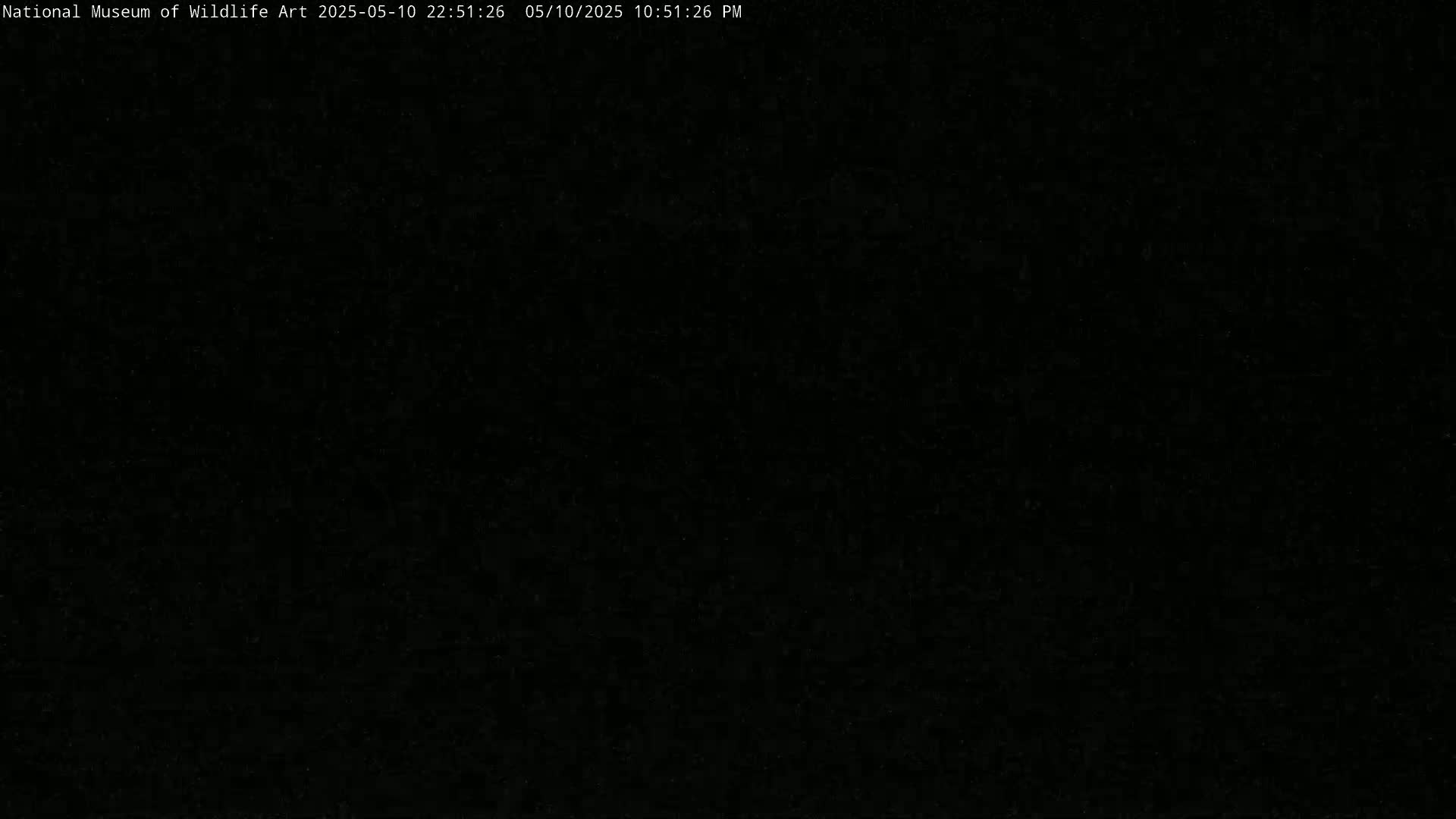 The image is completely black.