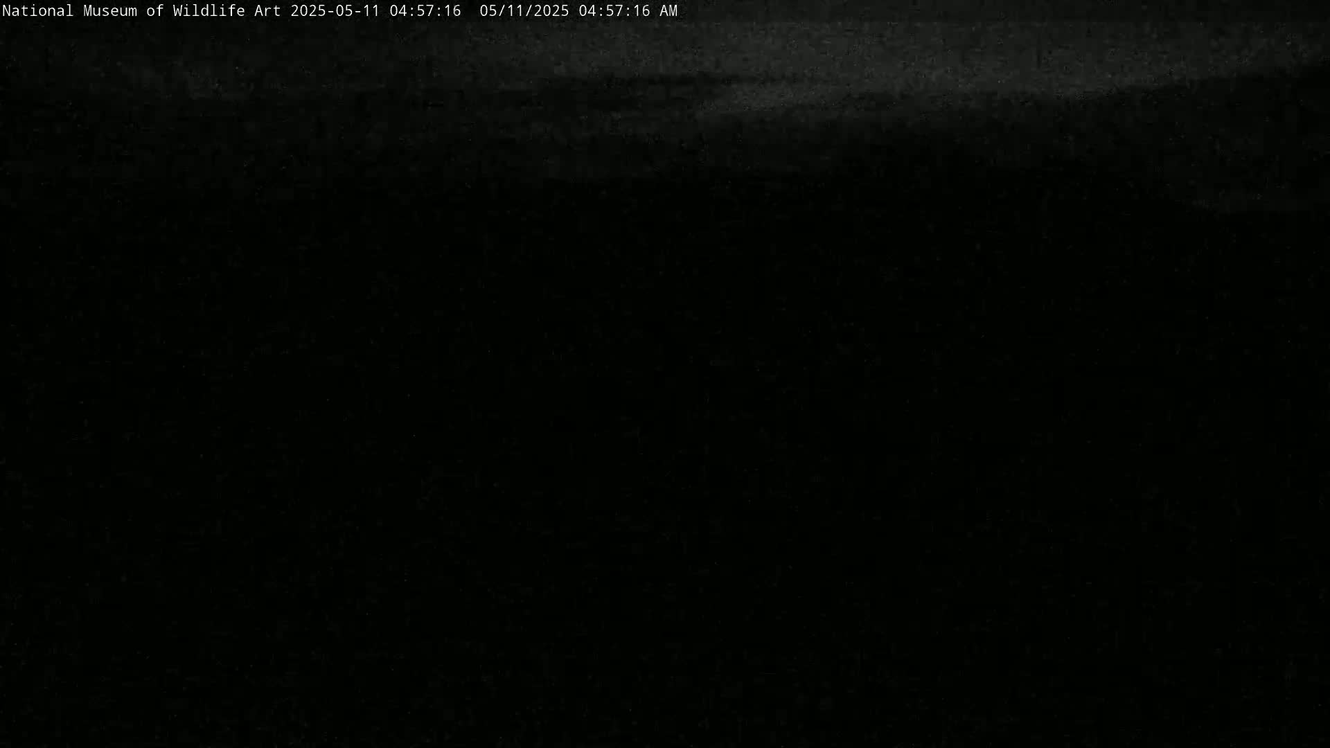A dark, possibly nighttime scene with a faint, light gray horizontal streak across the top.