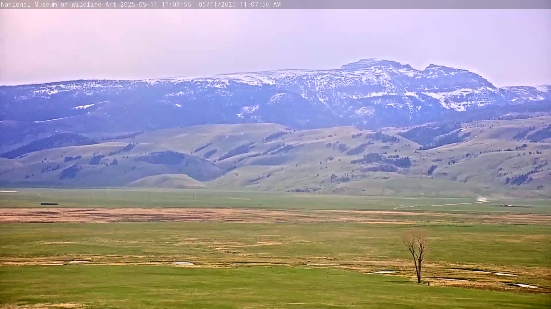 A vast, grassy plain stretches to snow-capped mountains under a hazy sky.