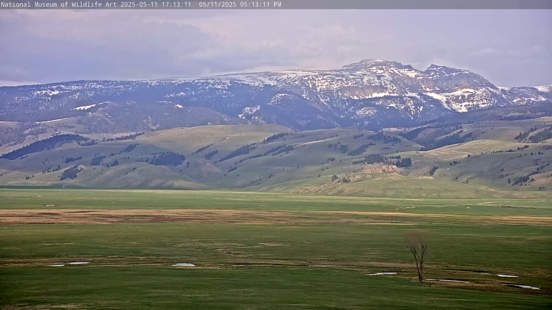 A vast, green plain stretches to snow-capped mountains under a mostly cloudy sky.