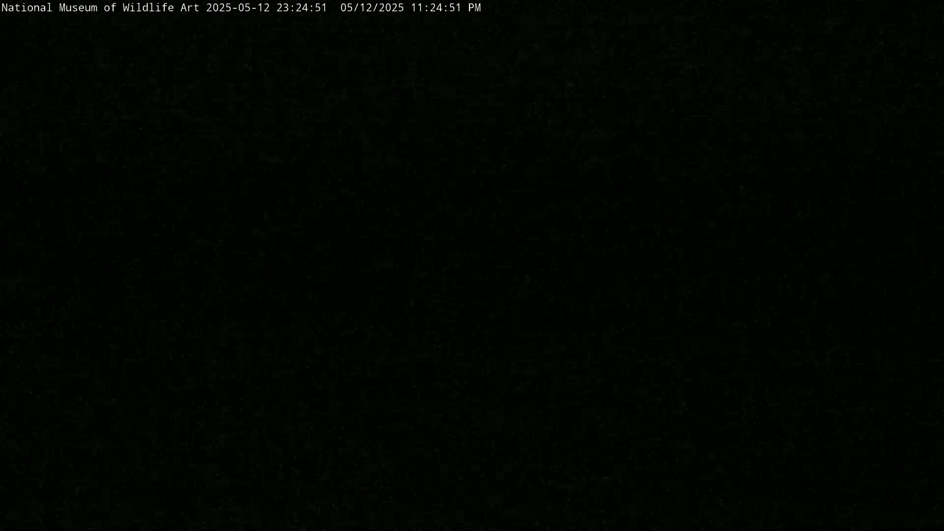Jackson Hole, Elk Refuge from National Museum of Wildlife Art Live Cam -  Jackson, Teton, Wyoming, USA