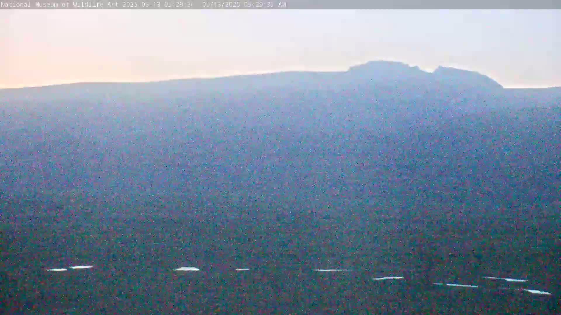 A hazy, light-blue landscape shows a distant, dark mountain range under a pale sky.
