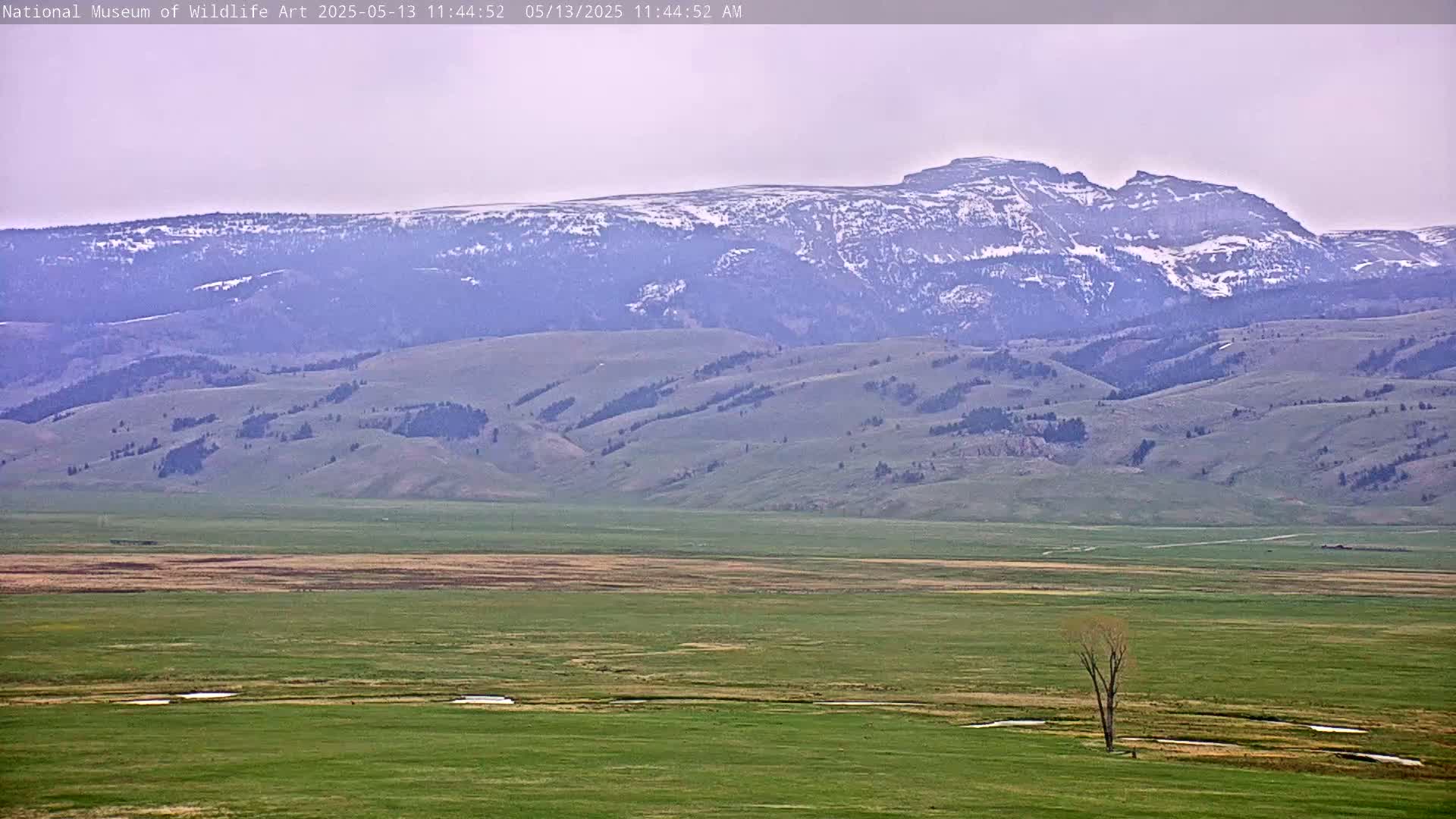 Jackson Hole, Elk Refuge from National Museum of Wildlife Art Live Cam -  Jackson, Teton, Wyoming, USA