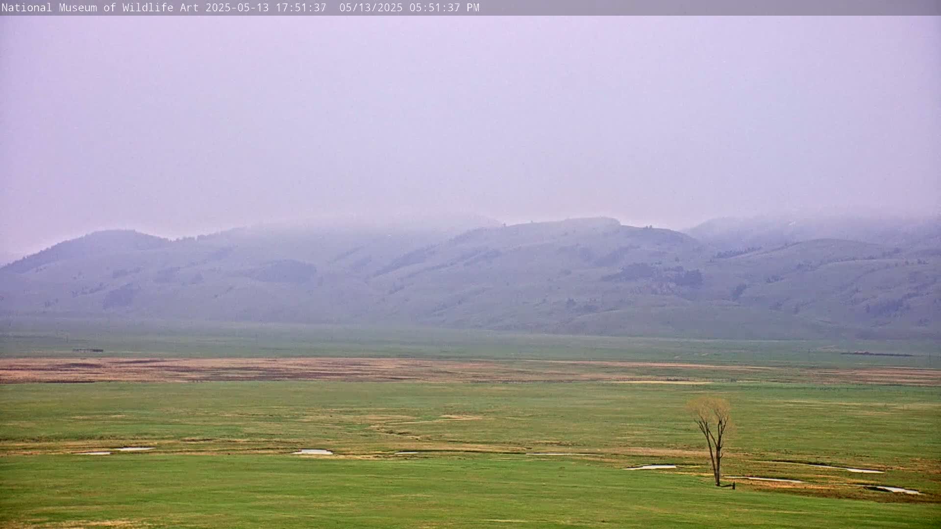 Jackson Hole, Elk Refuge from National Museum of Wildlife Art Live Cam -  Jackson, Teton, Wyoming, USA