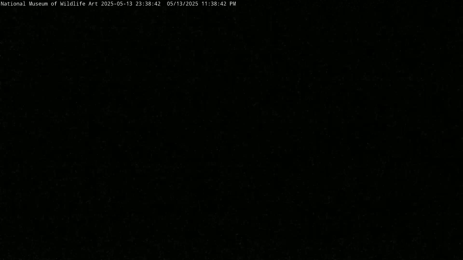 Jackson Hole, Elk Refuge from National Museum of Wildlife Art Live Cam -  Jackson, Teton, Wyoming, USA