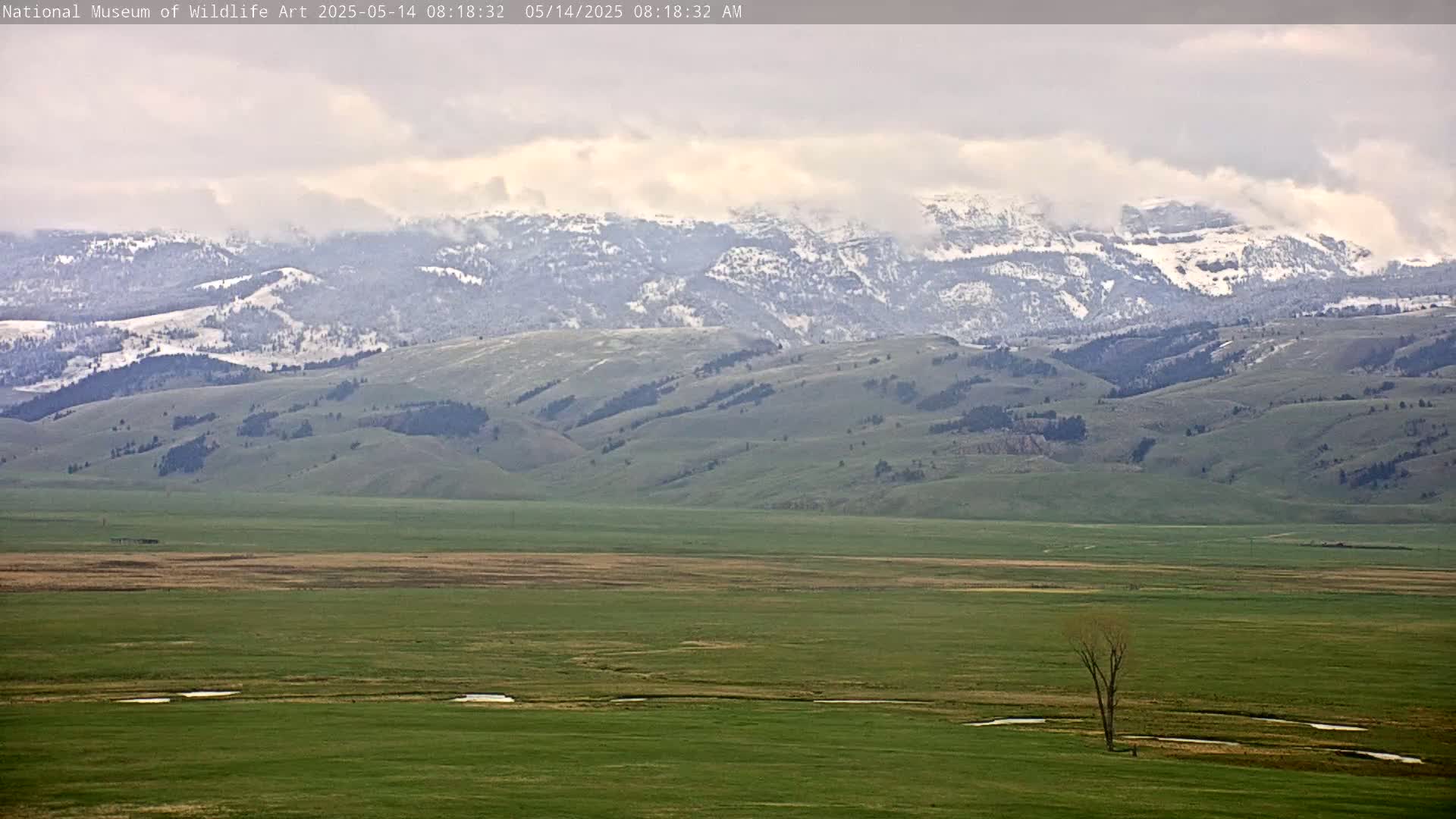 A vast, green plain stretches toward snow-dusted mountains under a cloudy sky.