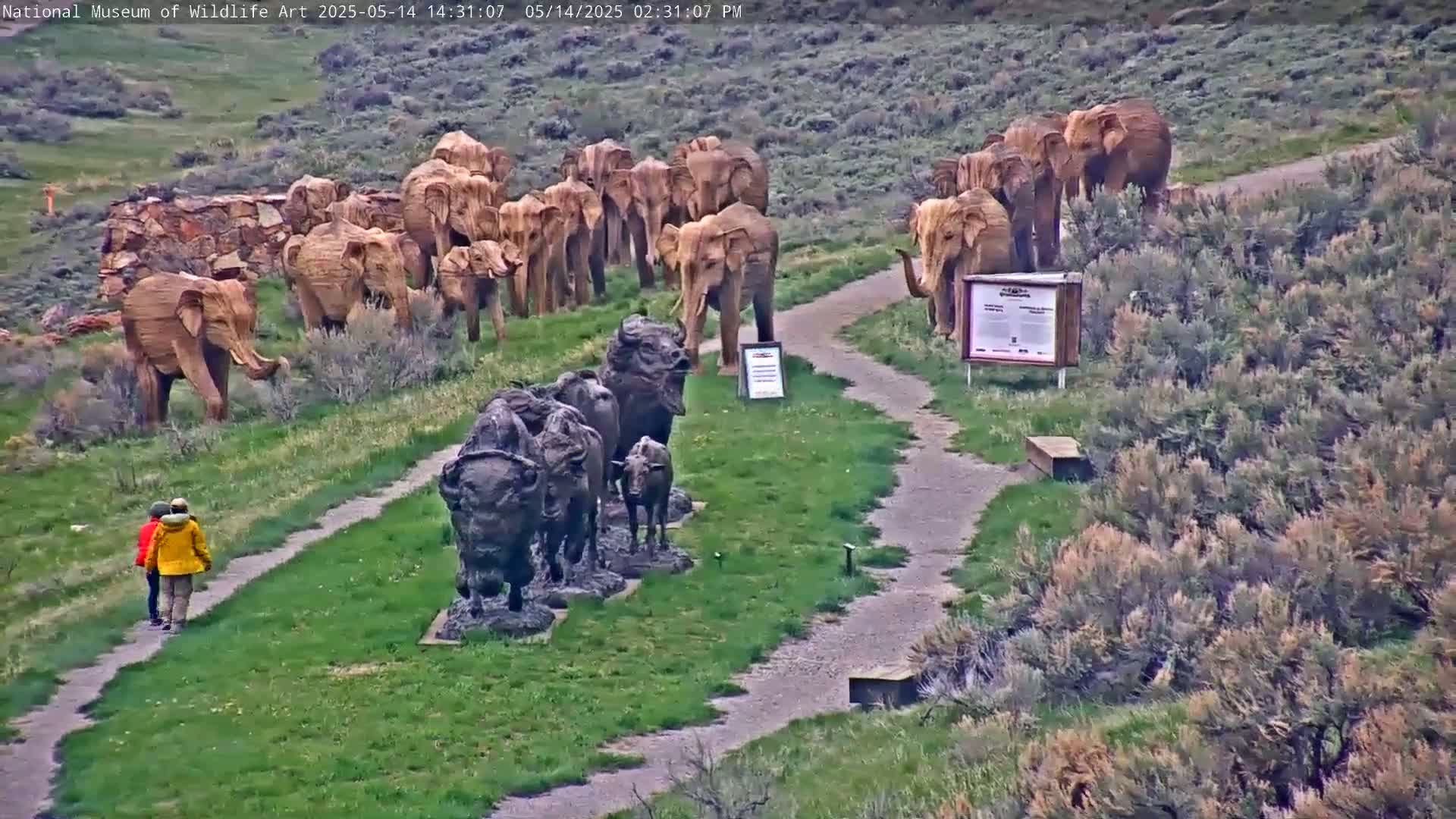 Two people walk along a path flanked by sculptures of elephants and bison, on a grassy area with low shrubs under an overcast sky.