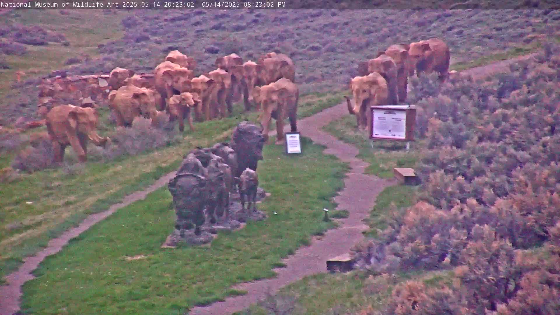 Jackson Hole, Elk Refuge from National Museum of Wildlife Art Live Cam -  Jackson, Teton, Wyoming, USA