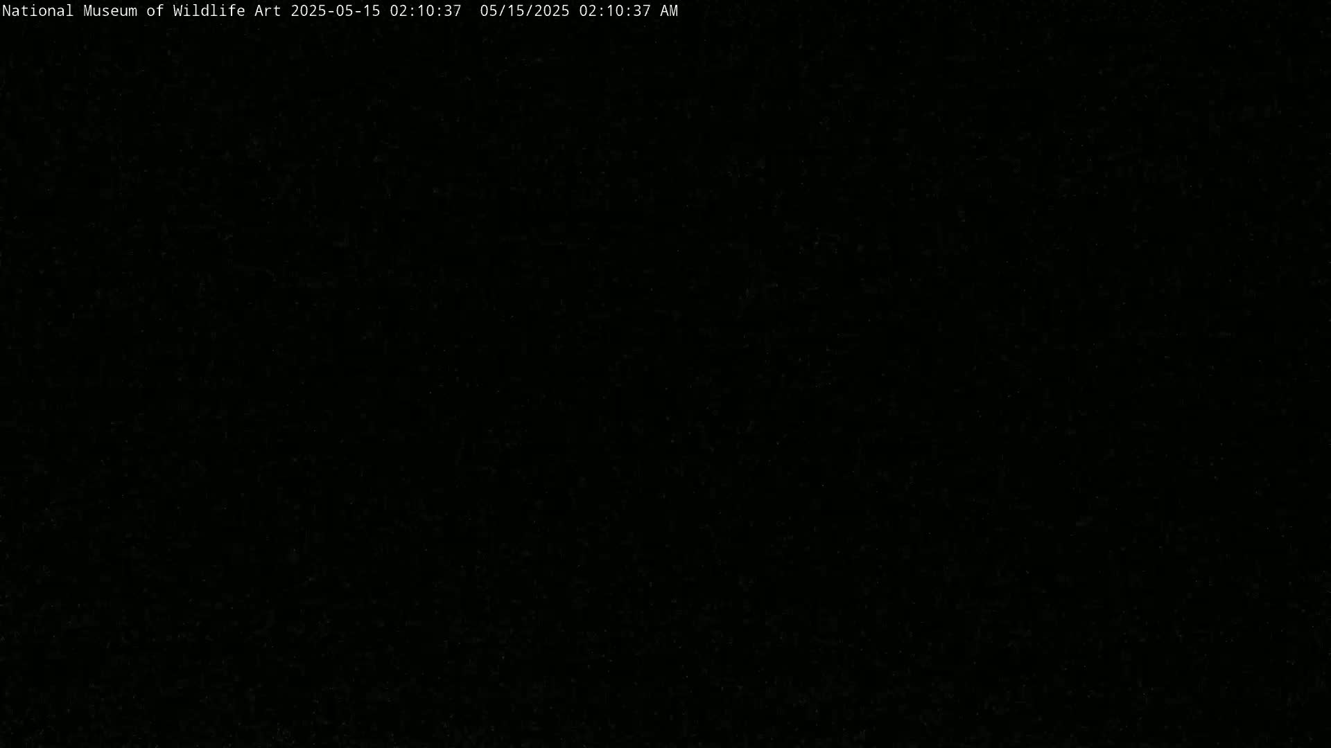 The image is a completely black screen.