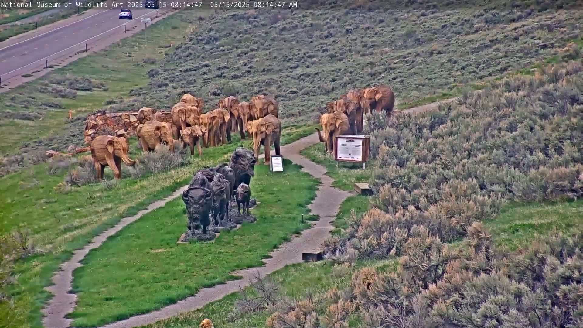 A grassy hillside with a paved path features numerous elephant and buffalo sculptures, near a highway.