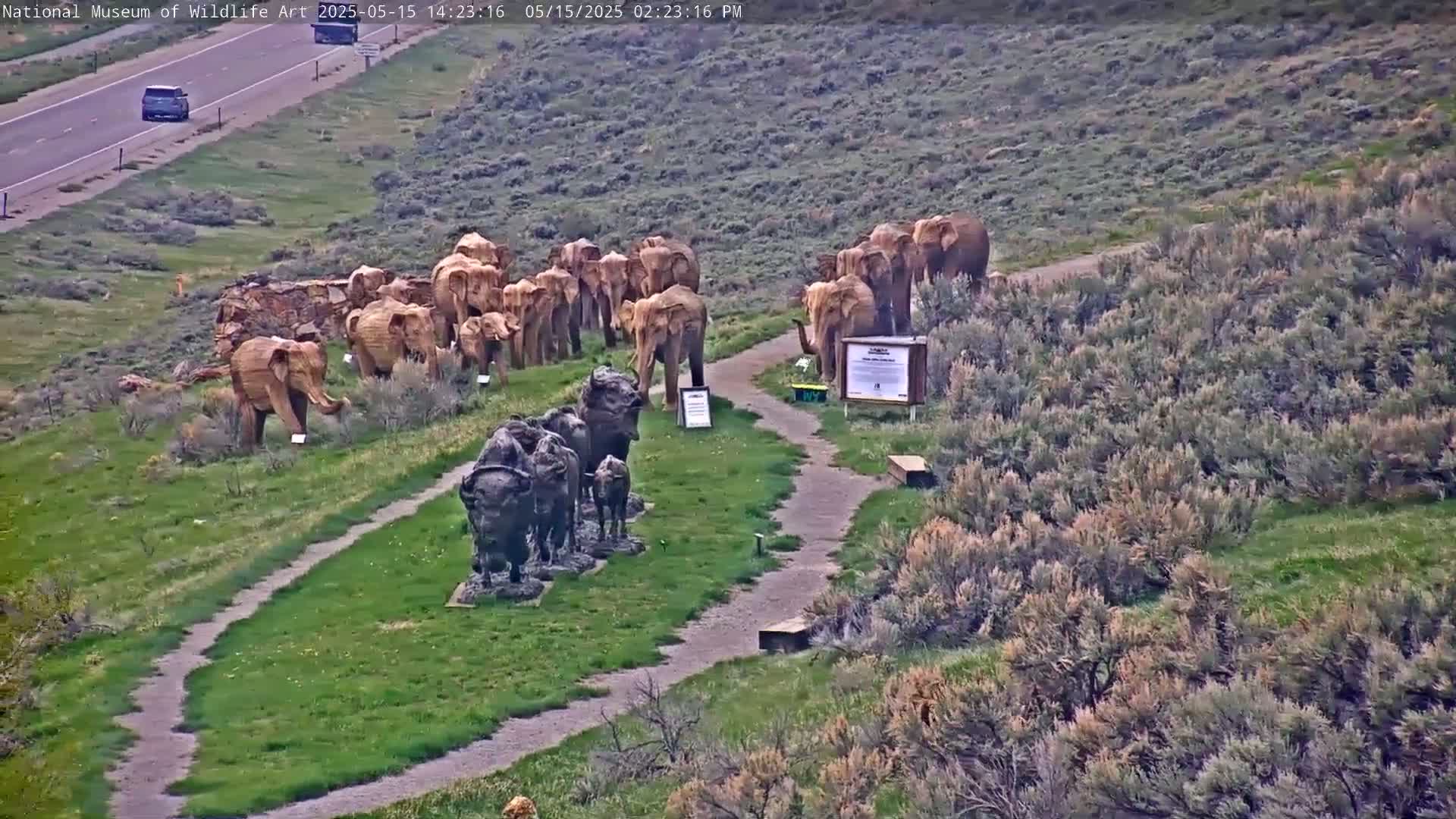 A grassy area with a dirt path shows a herd of elephant statues and a grouping of bison statues, near a highway on a partly sunny day.