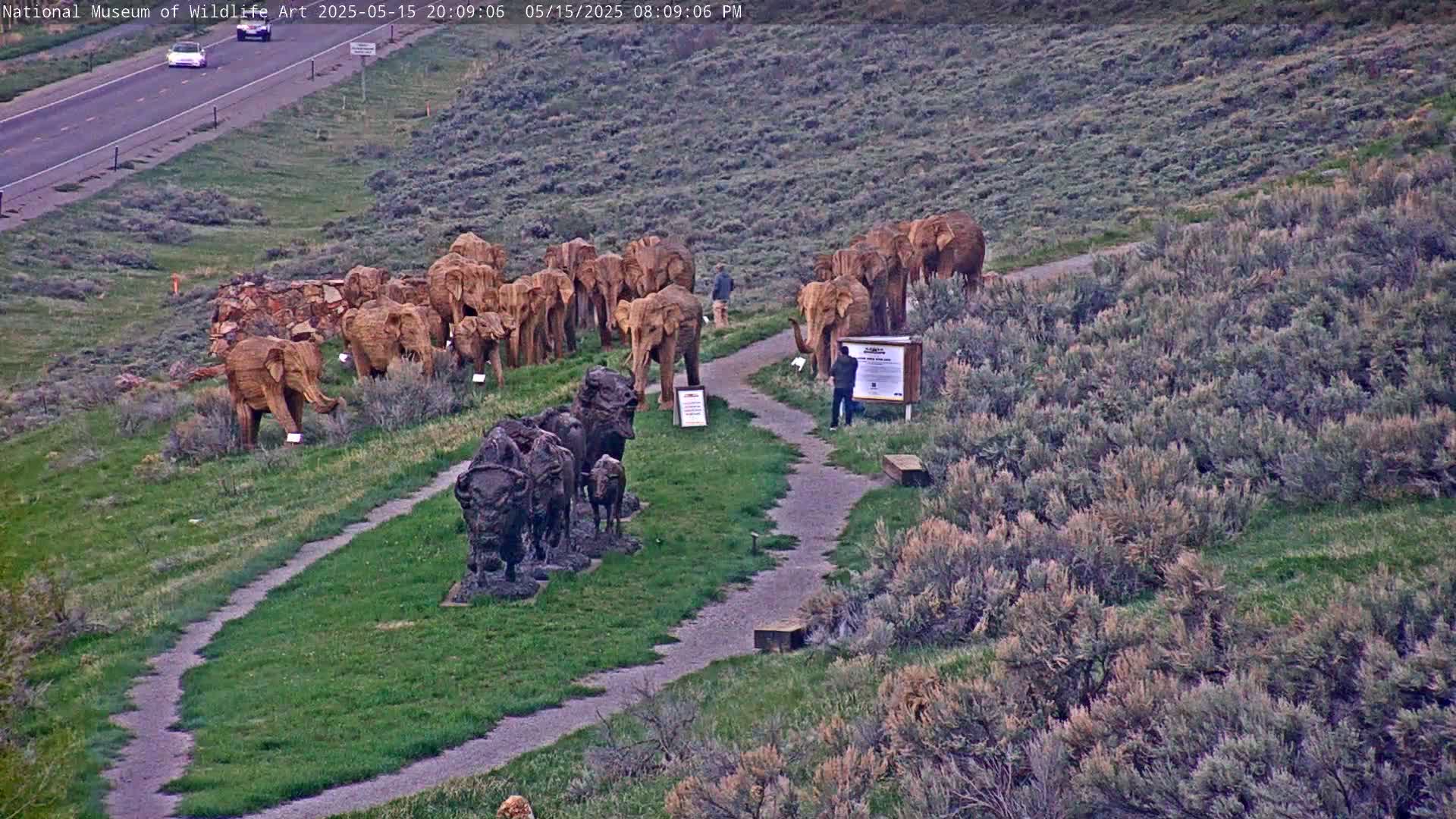 Jackson Hole, Elk Refuge from National Museum of Wildlife Art Live Cam -  Jackson, Teton, Wyoming, USA