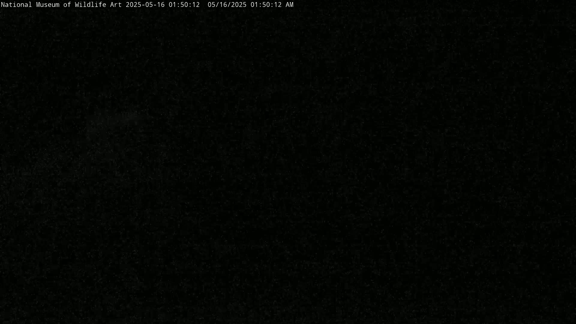 A mostly black image with faint, speckled noise throughout.