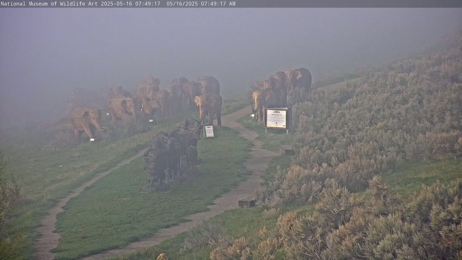 A group of elephant sculptures stands on a grassy path shrouded in morning mist, with additional animal sculptures visible nearby.