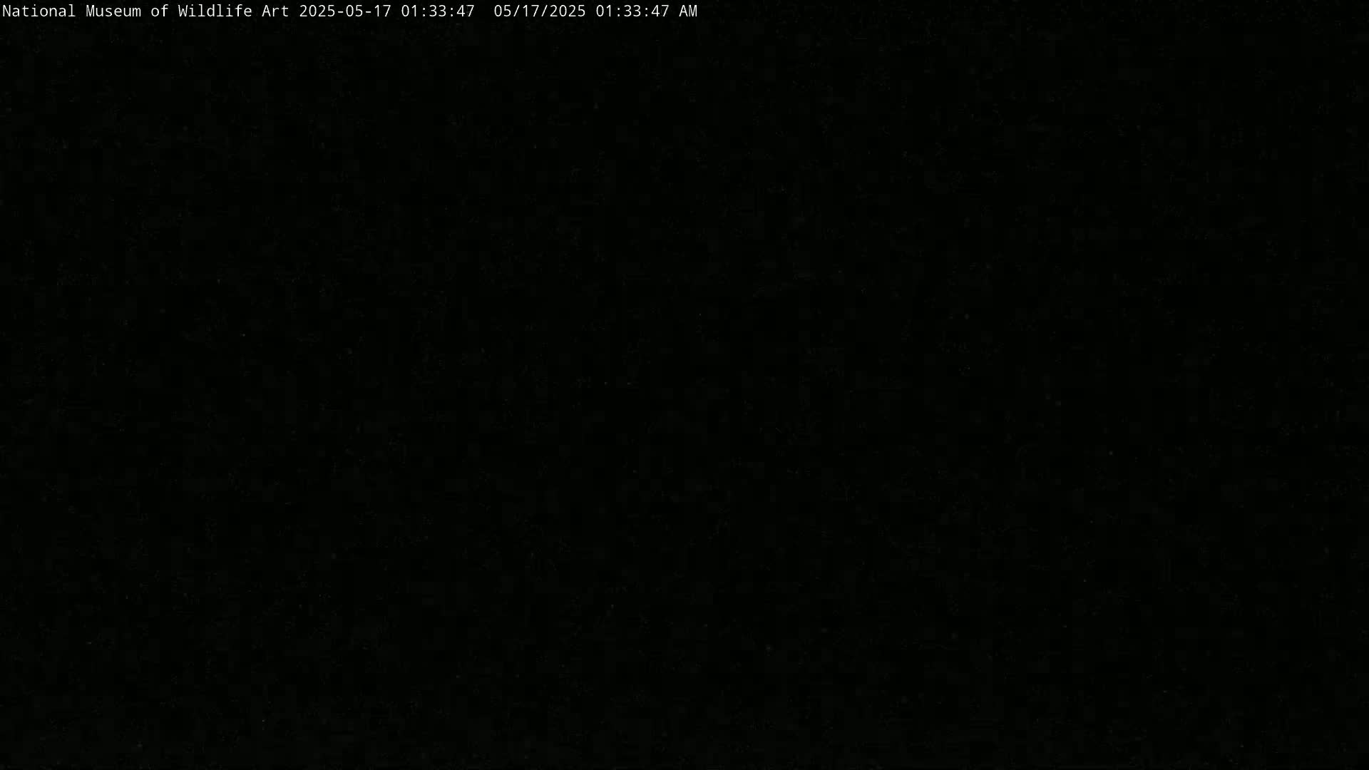 The image is completely black.