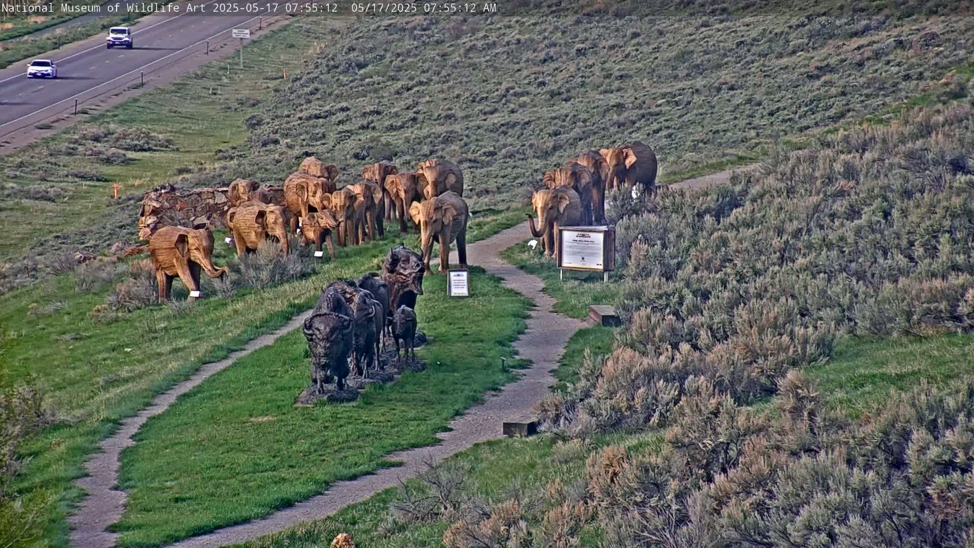 A winding pathway leads to numerous wooden elephant sculptures and a group of bronze bison sculptures on a grassy hillside overlooking a highway.